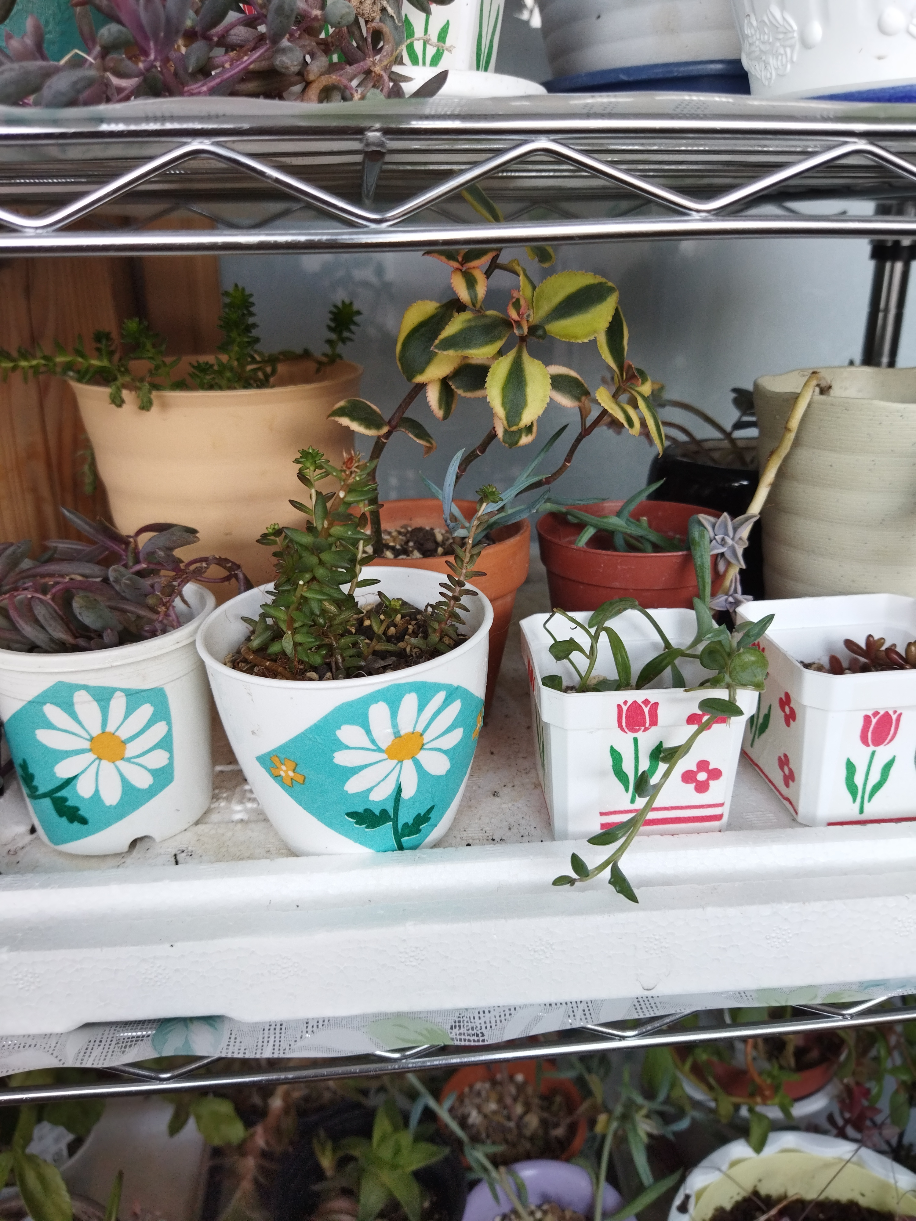 白鉢にデコパージュ | CAINZ DIY Square