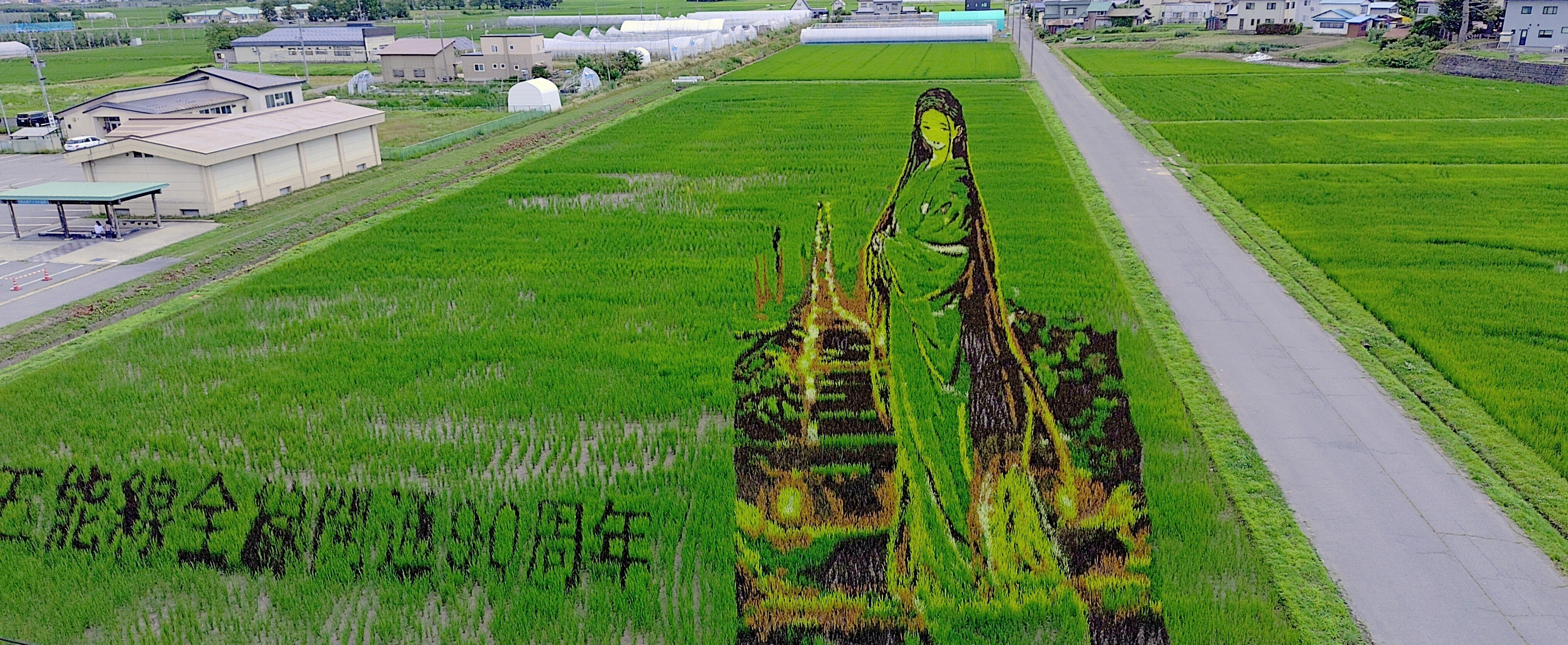田んぼアート | TORQUE STYLE