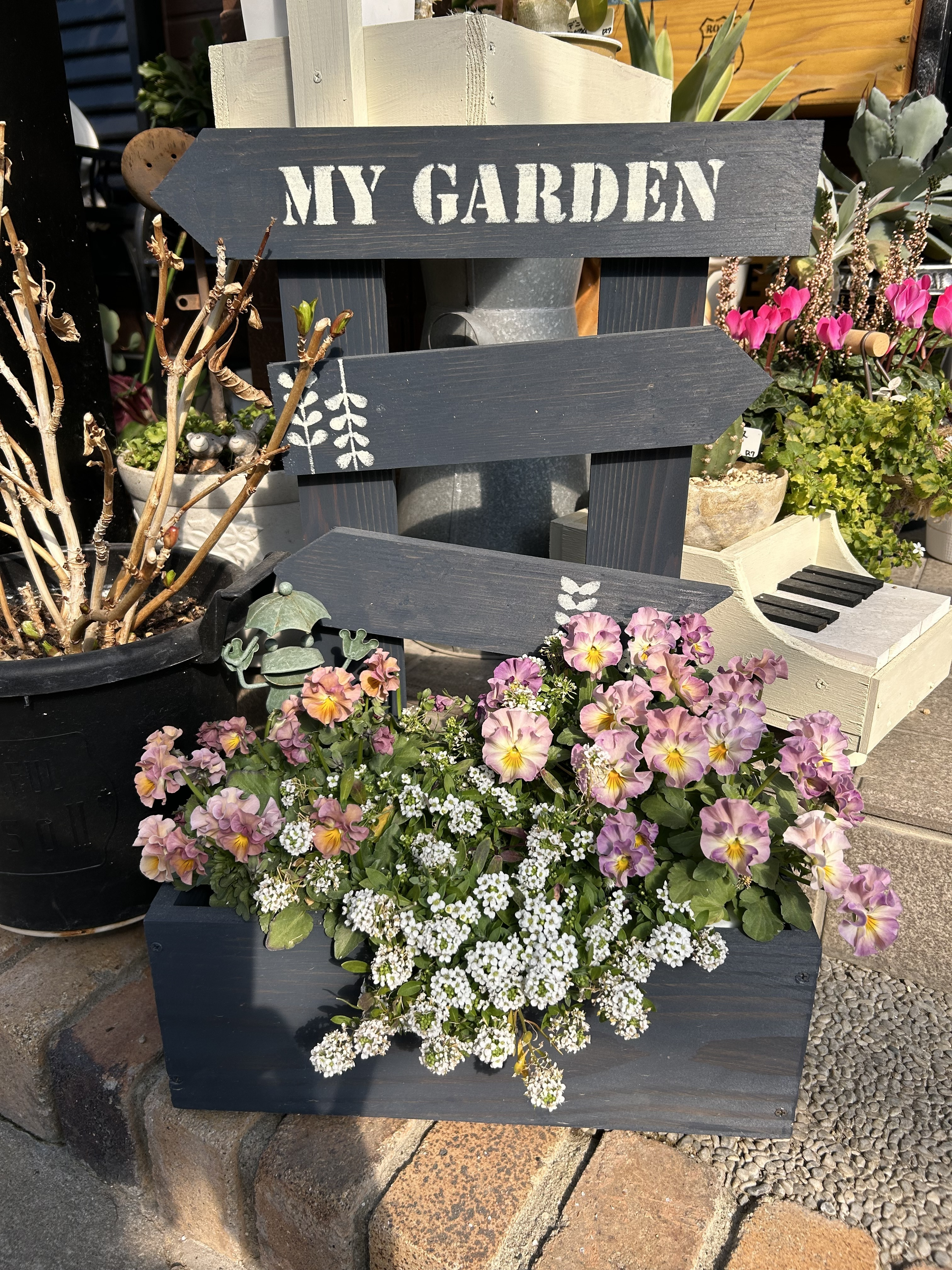 ビオラの寄せ植え | CAINZ DIY Square