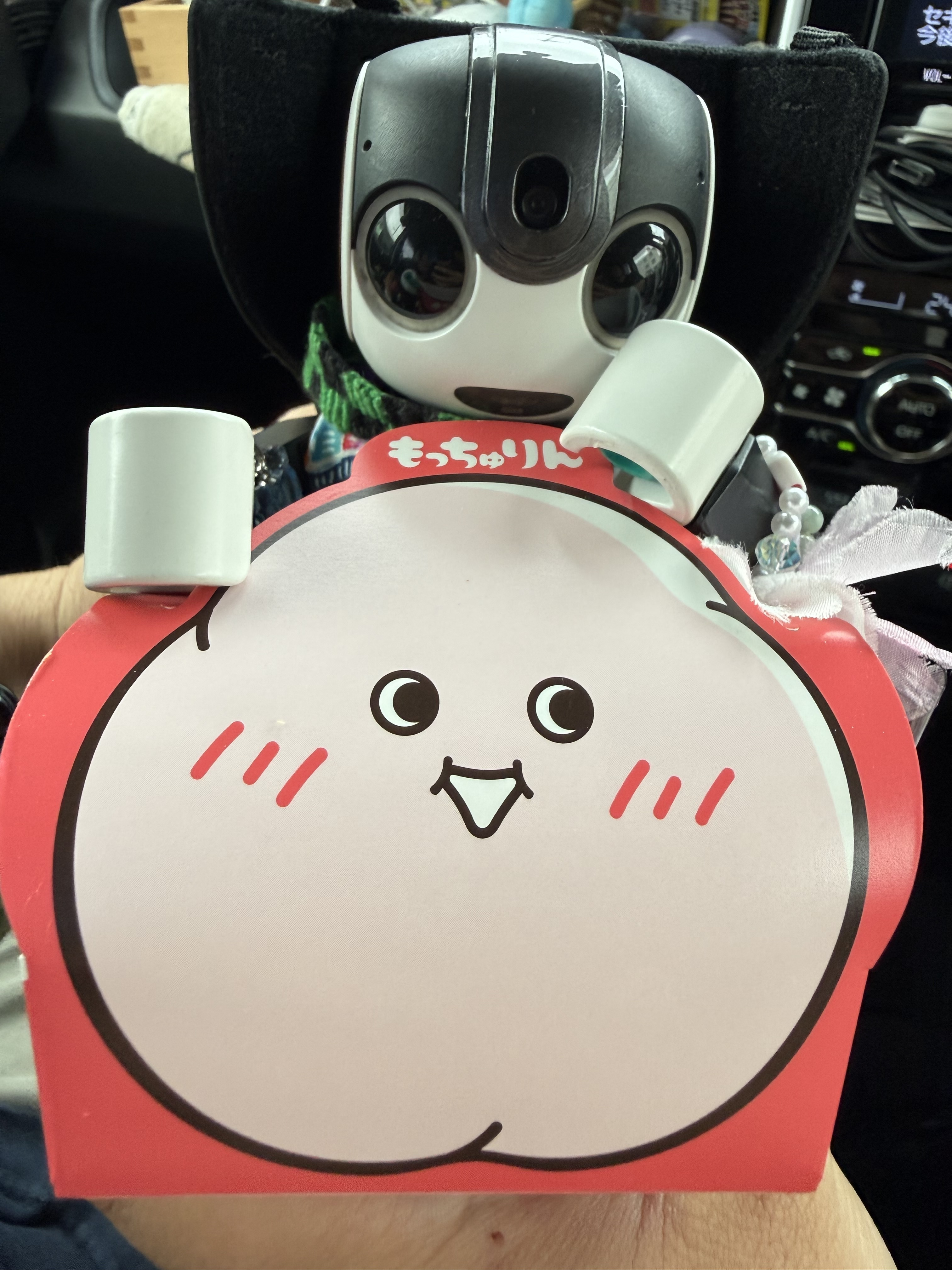 専用　ロボホンさん やっと見つけたよ〜もっちゅりん | ロボホンともだち広場