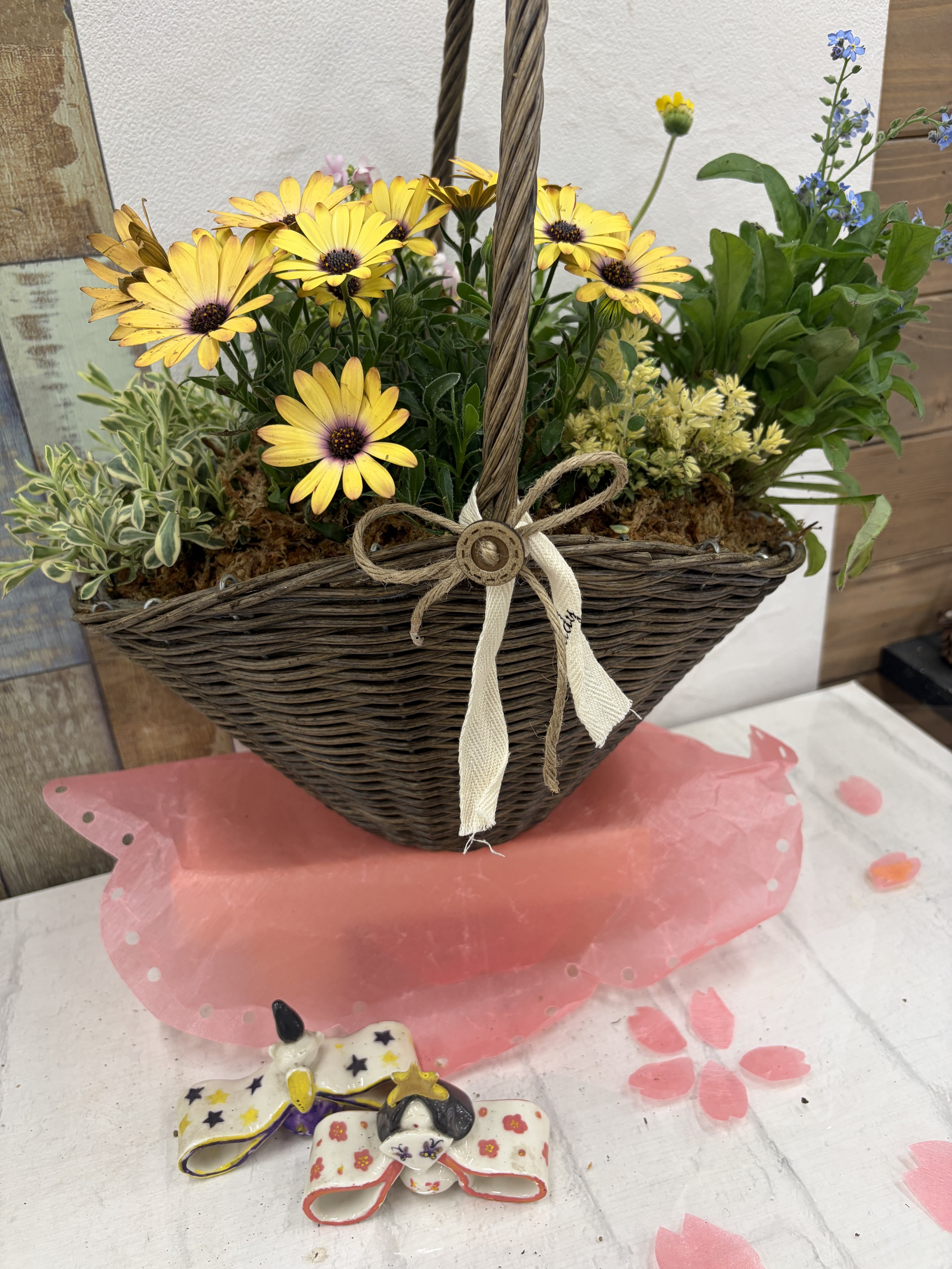 春風のバスケット寄せ植え | CAINZ DIY Square