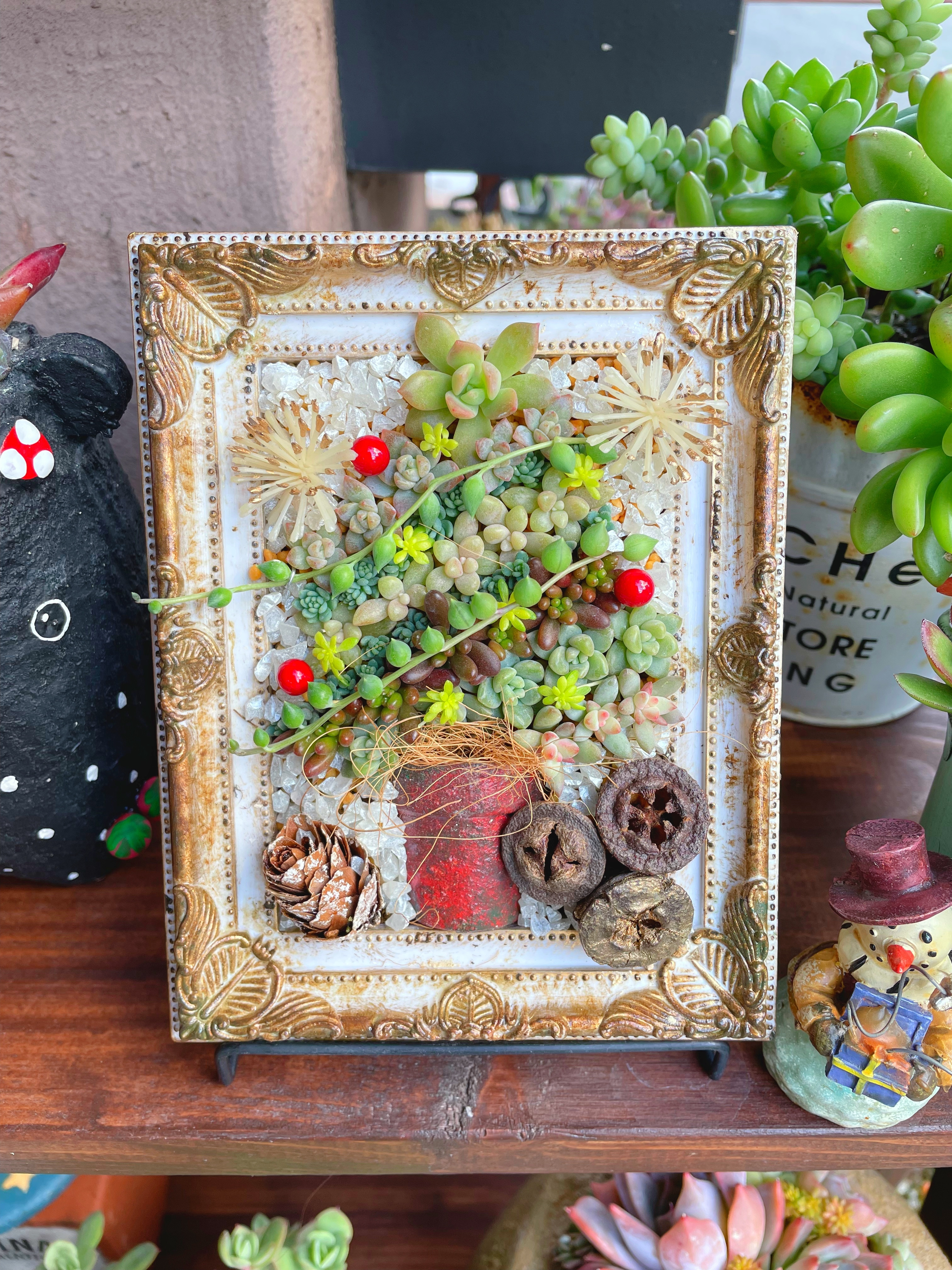 多肉植物 クリスマスツリー型 多肉のクリスマスツリー🎄✨✨ | CAINZ DIY Square