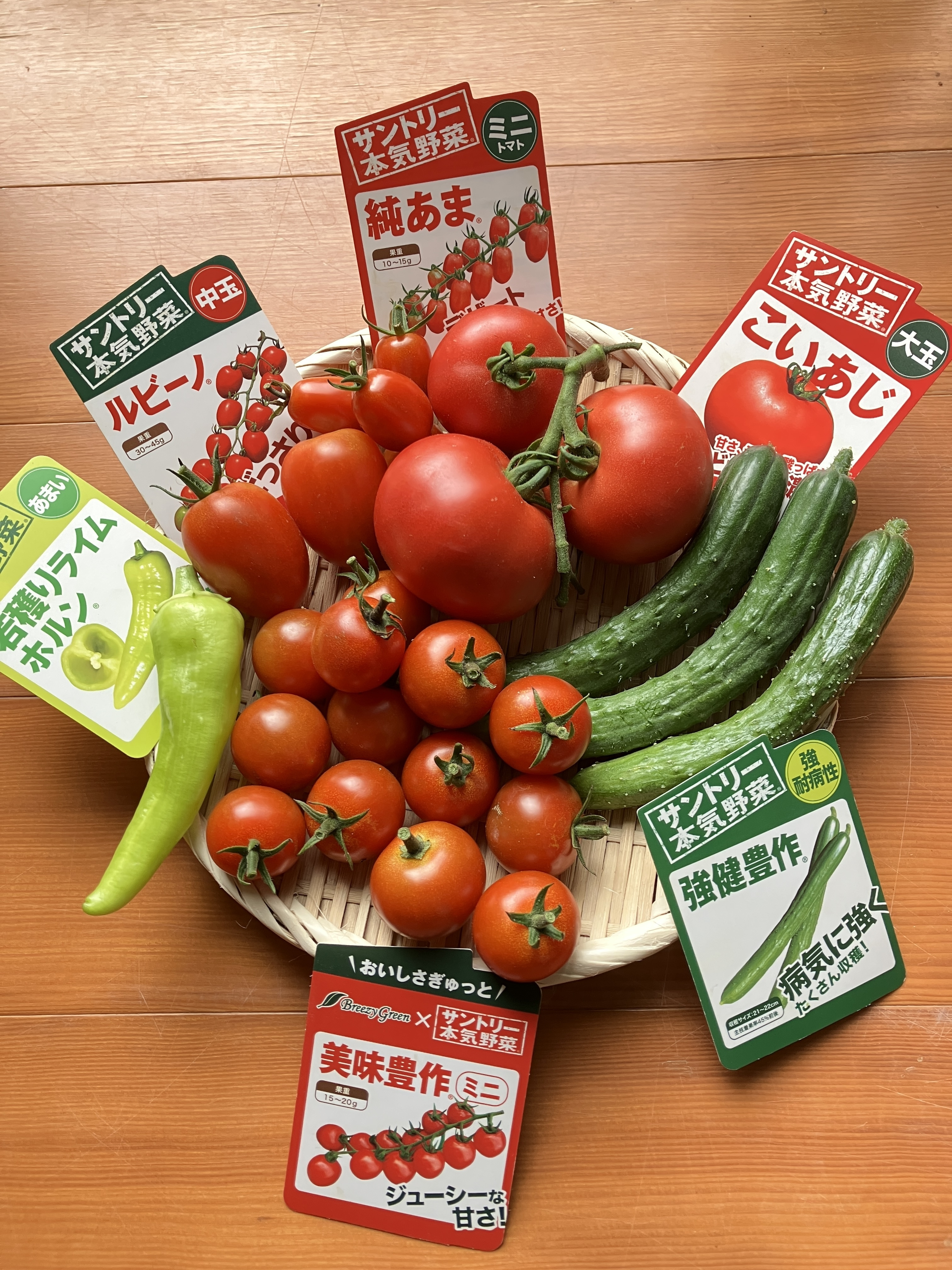 楽天市場】【産地厳選】フルーツトマト 高糖度 A品 トマト 国産