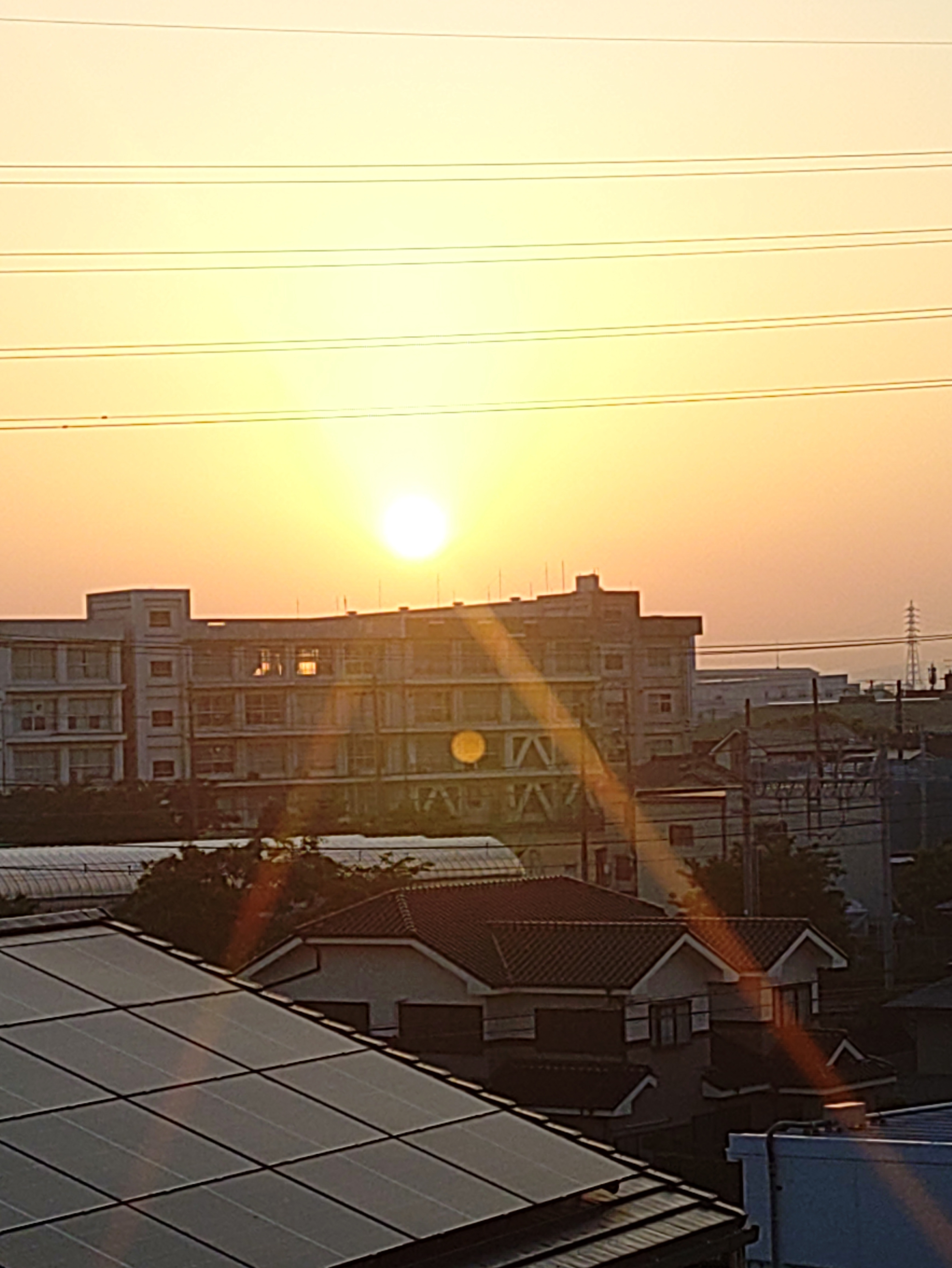 日の出写真 IMG_8231.jpg