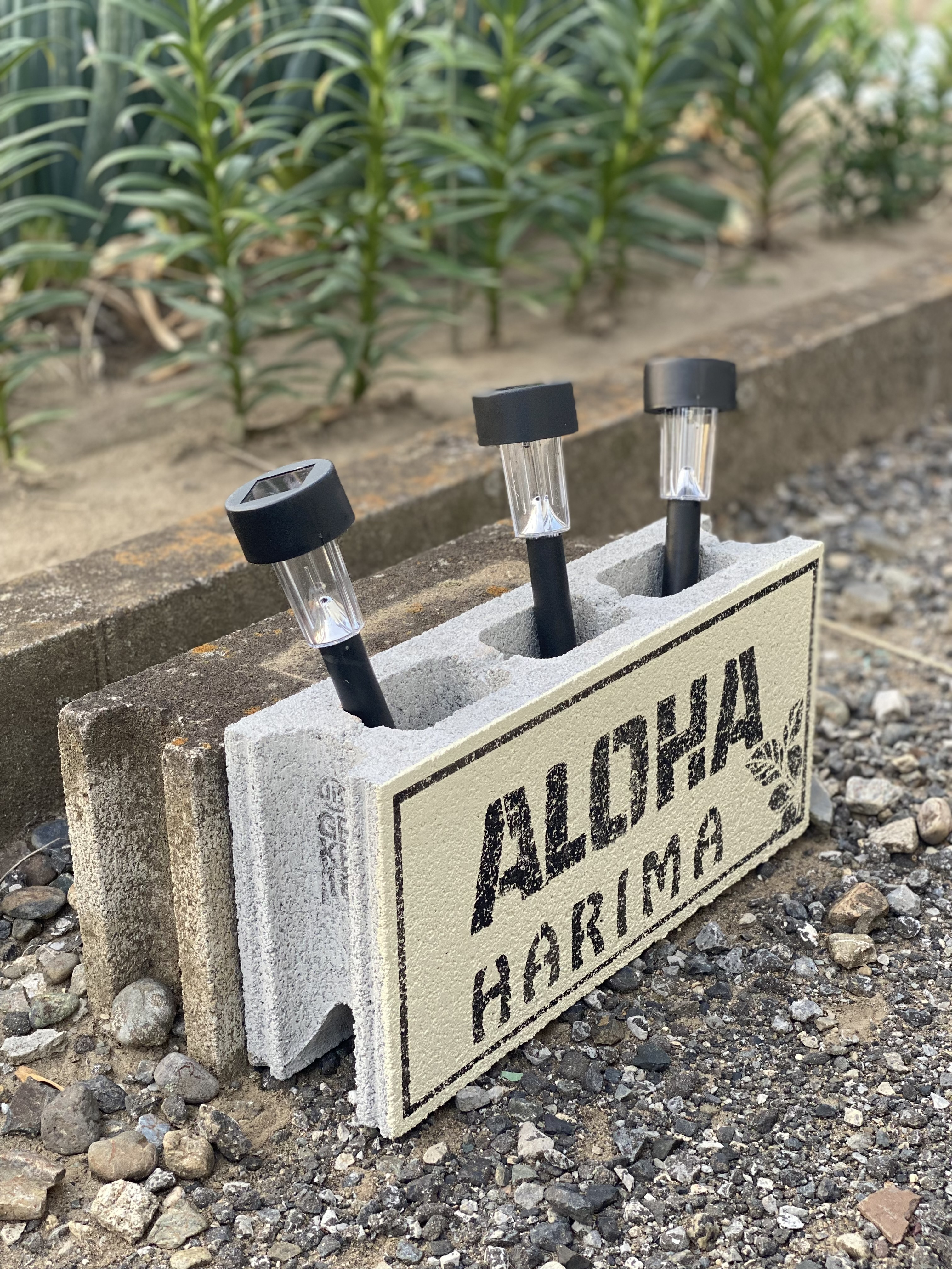 ddf6f680-e10e-49de-bfc2-