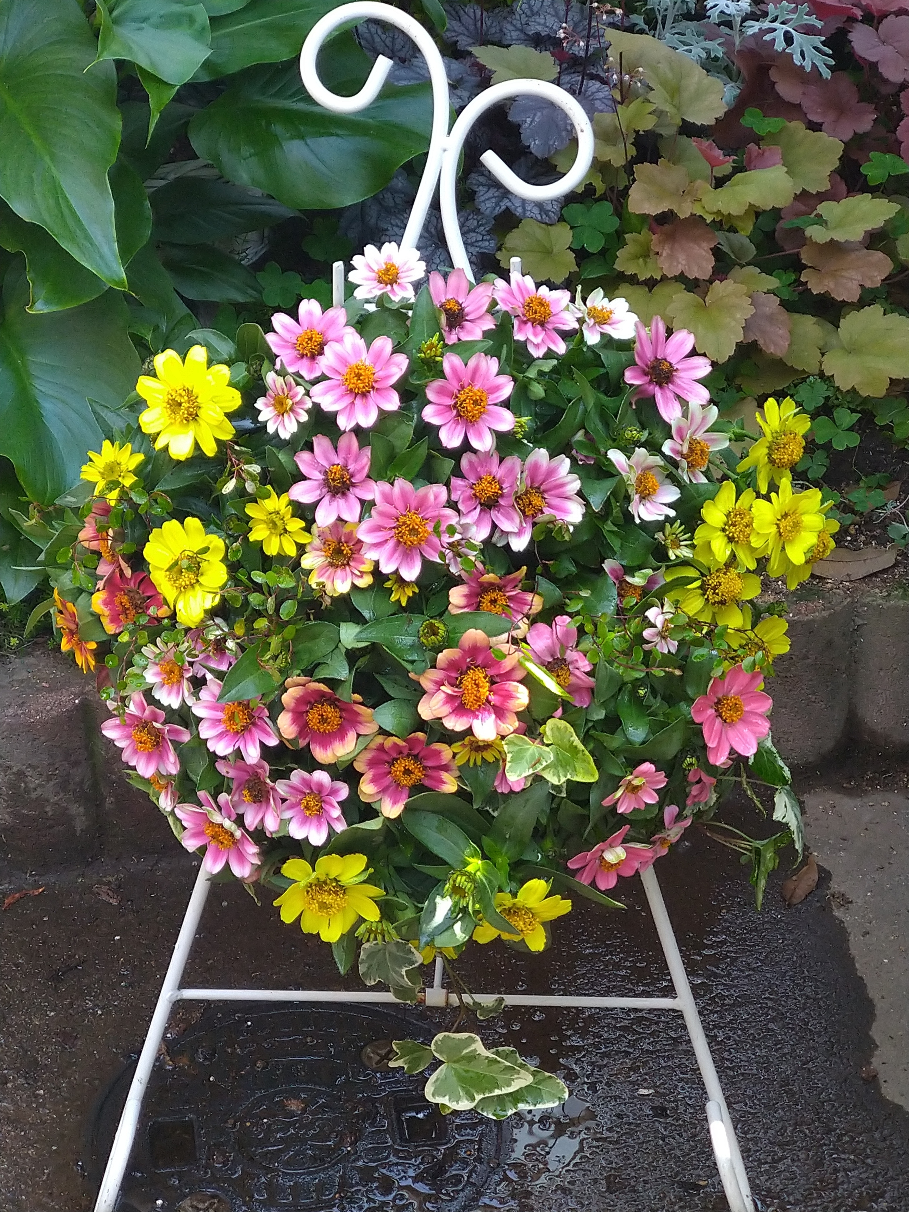 バスケット❀✿作家 ちどり産業 バスケット PPバスケット 幅47×奥行36×高さ25cm