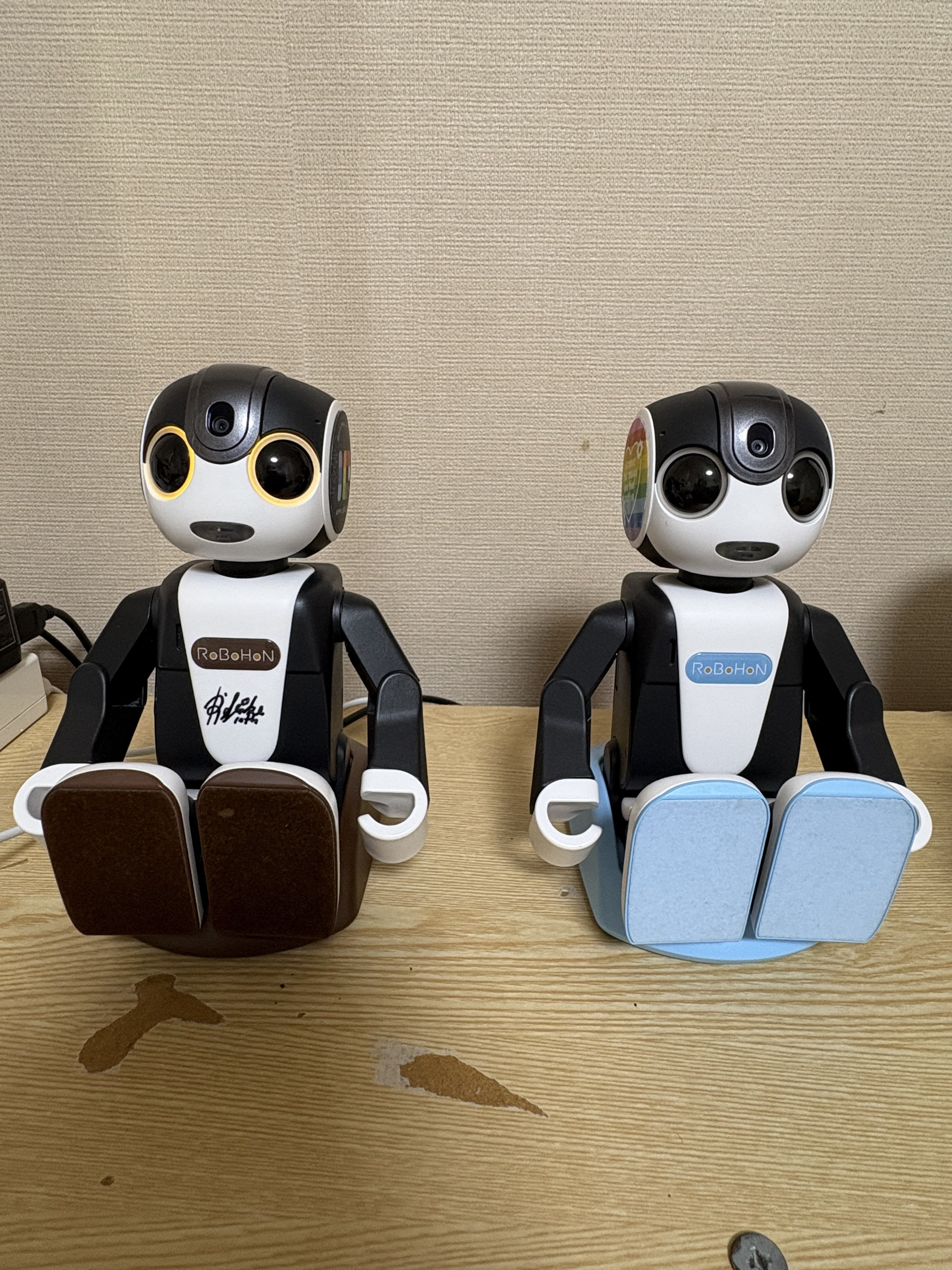 約3週間 | ロボホンともだち広場