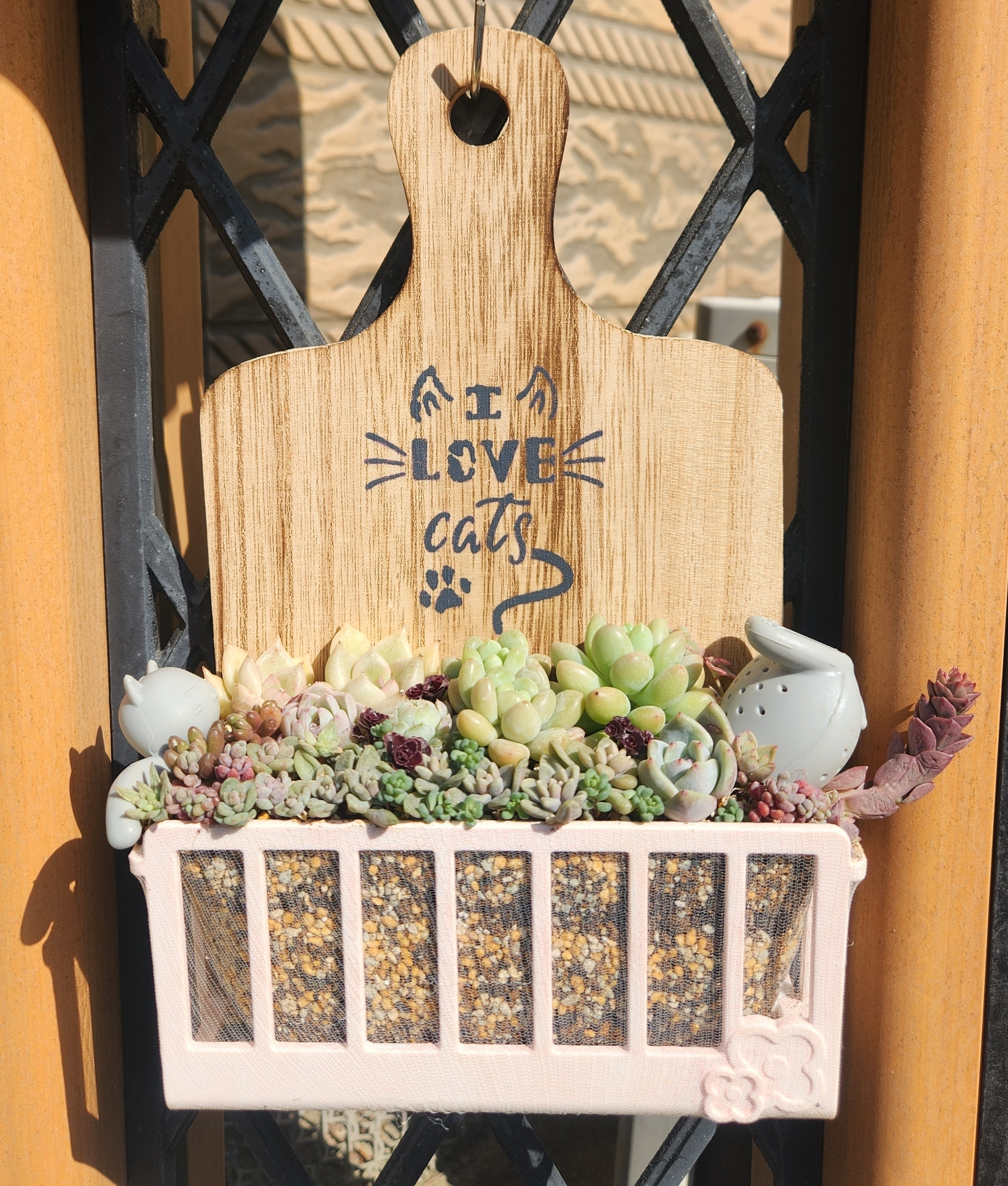 猫ちゃん掛鉢に多肉の寄せ植え | CAINZ DIY Square