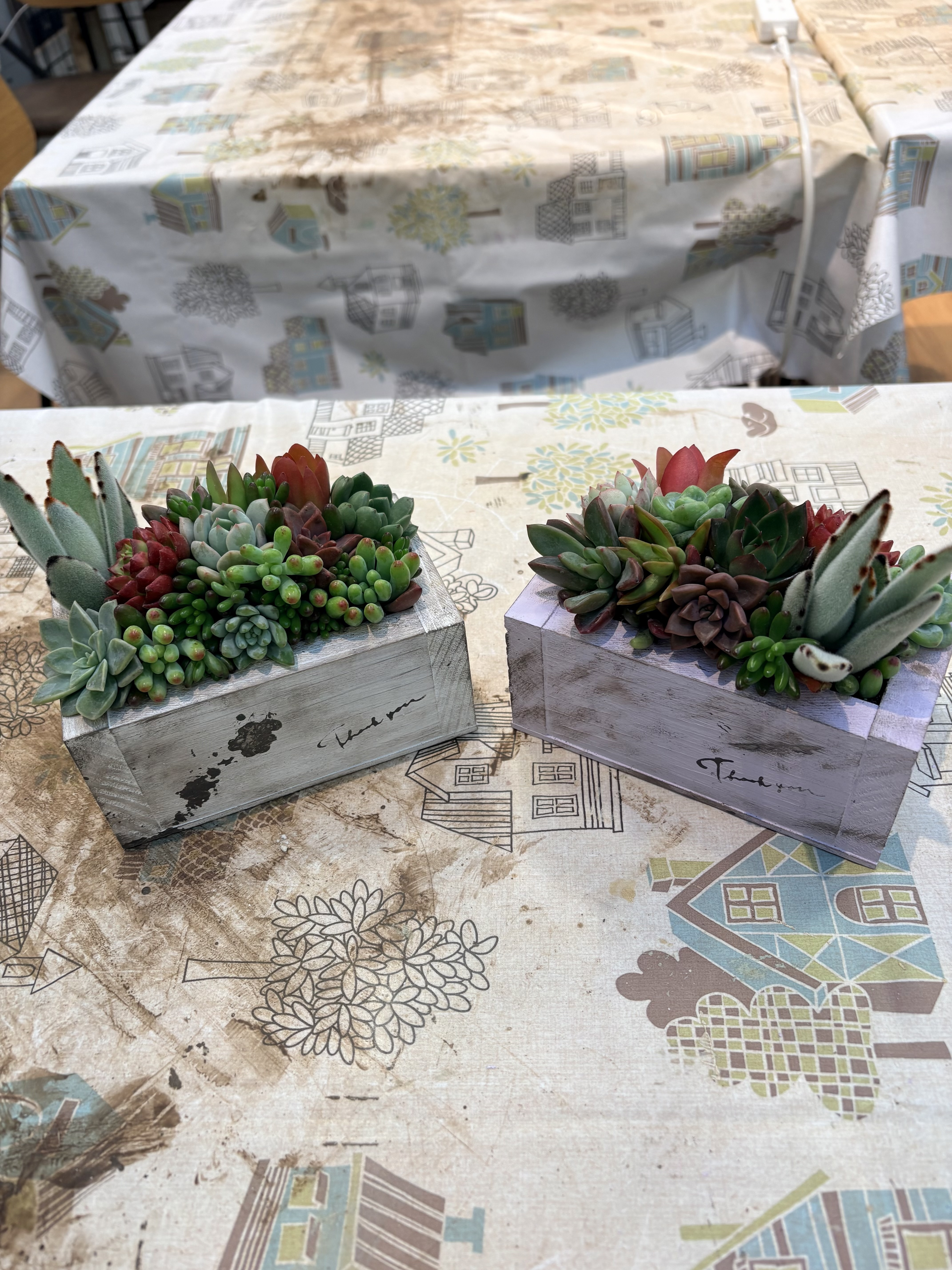 ウッドプランターで多肉の寄せ植え | CAINZ DIY Square