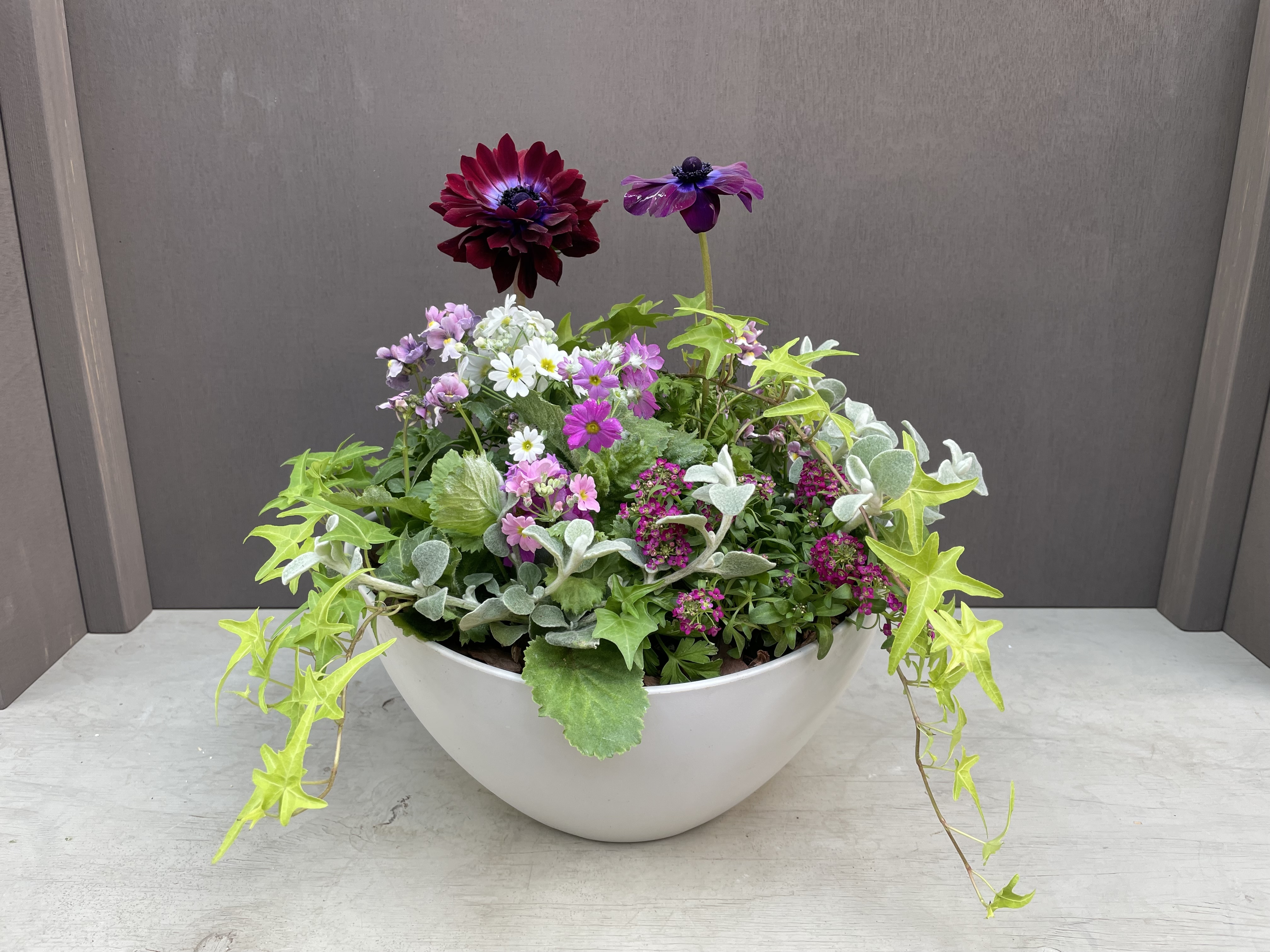 GWSの、早春の寄せ植えに参加してきました！ | CAINZ DIY Square