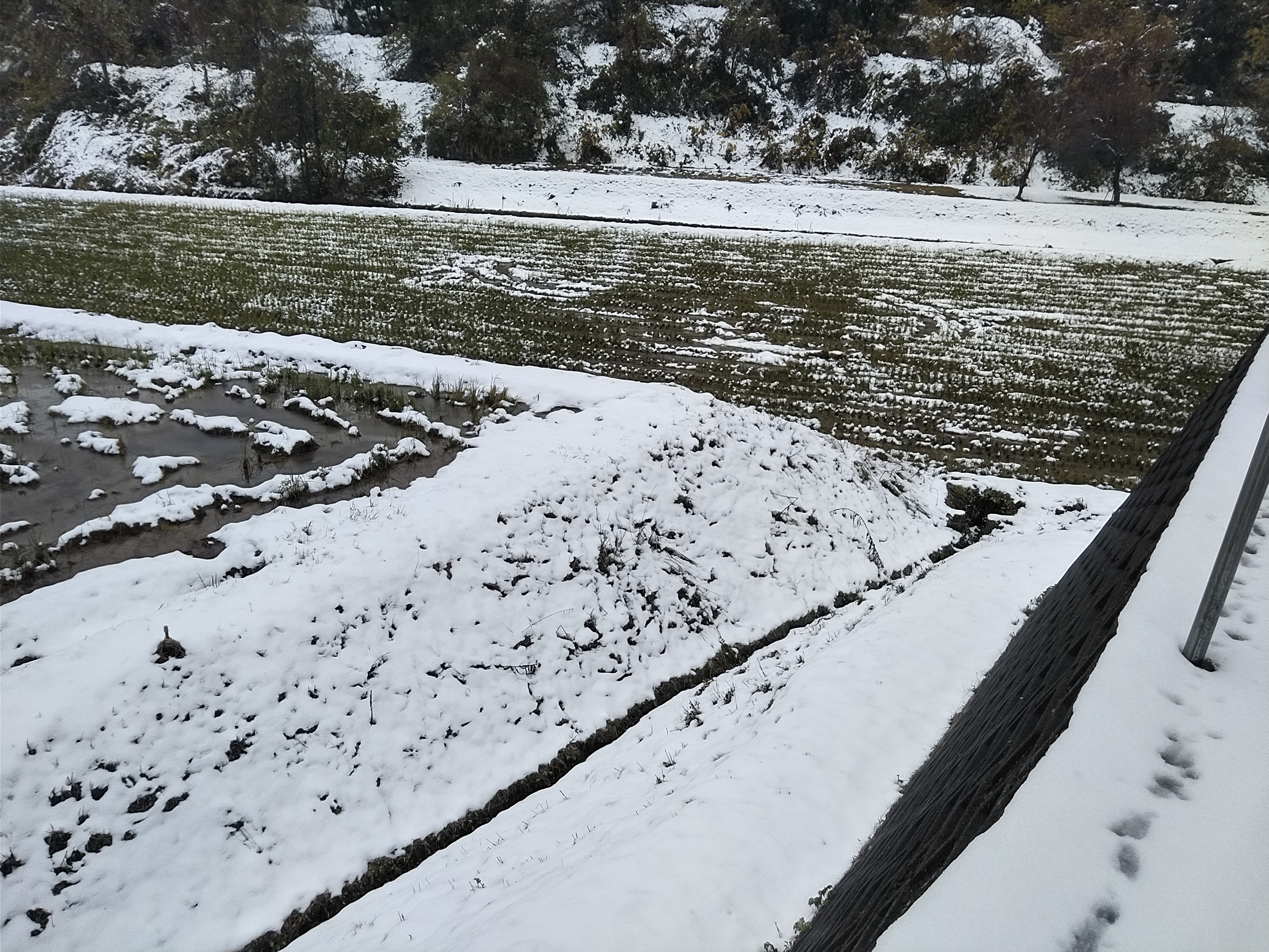 雪路ページ Datsun 280z Washer Bottle Motor | Zeddsaver