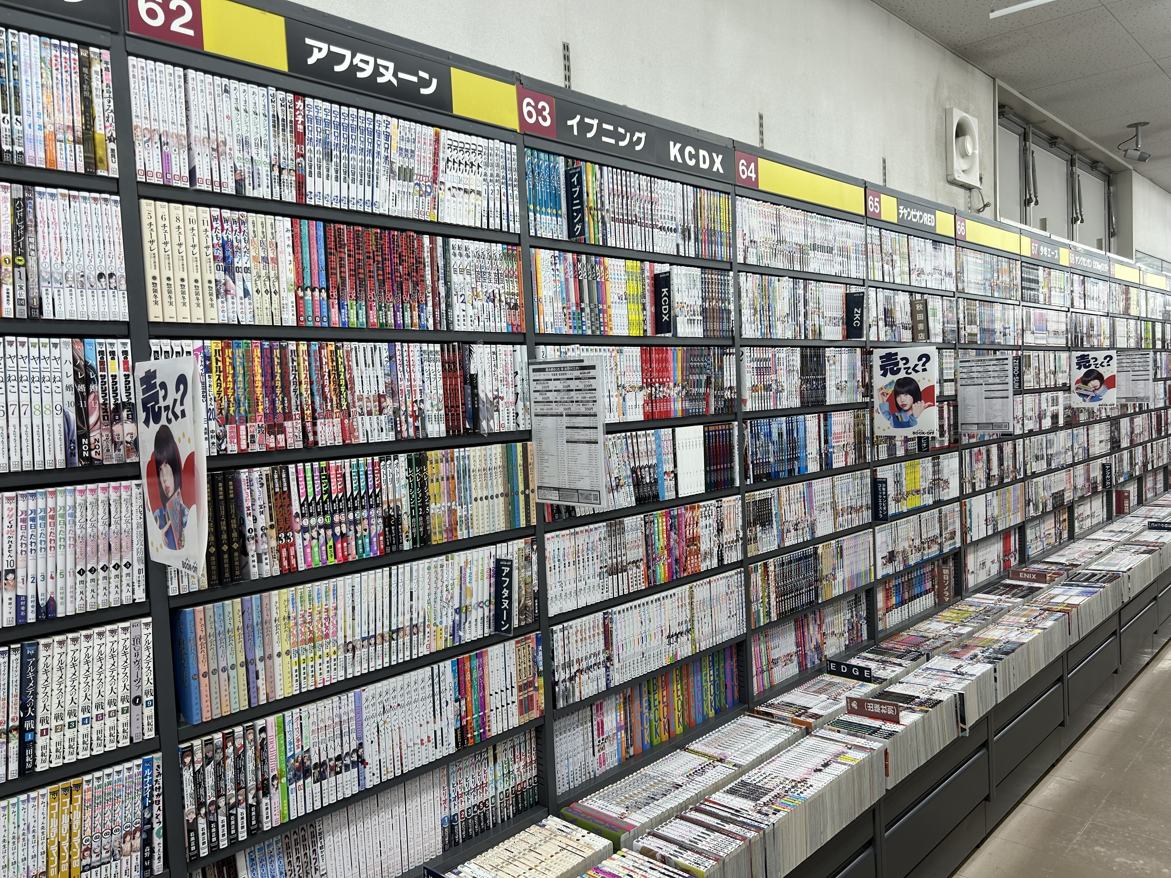 本のならべ方 | ブックオフスキスキ天国