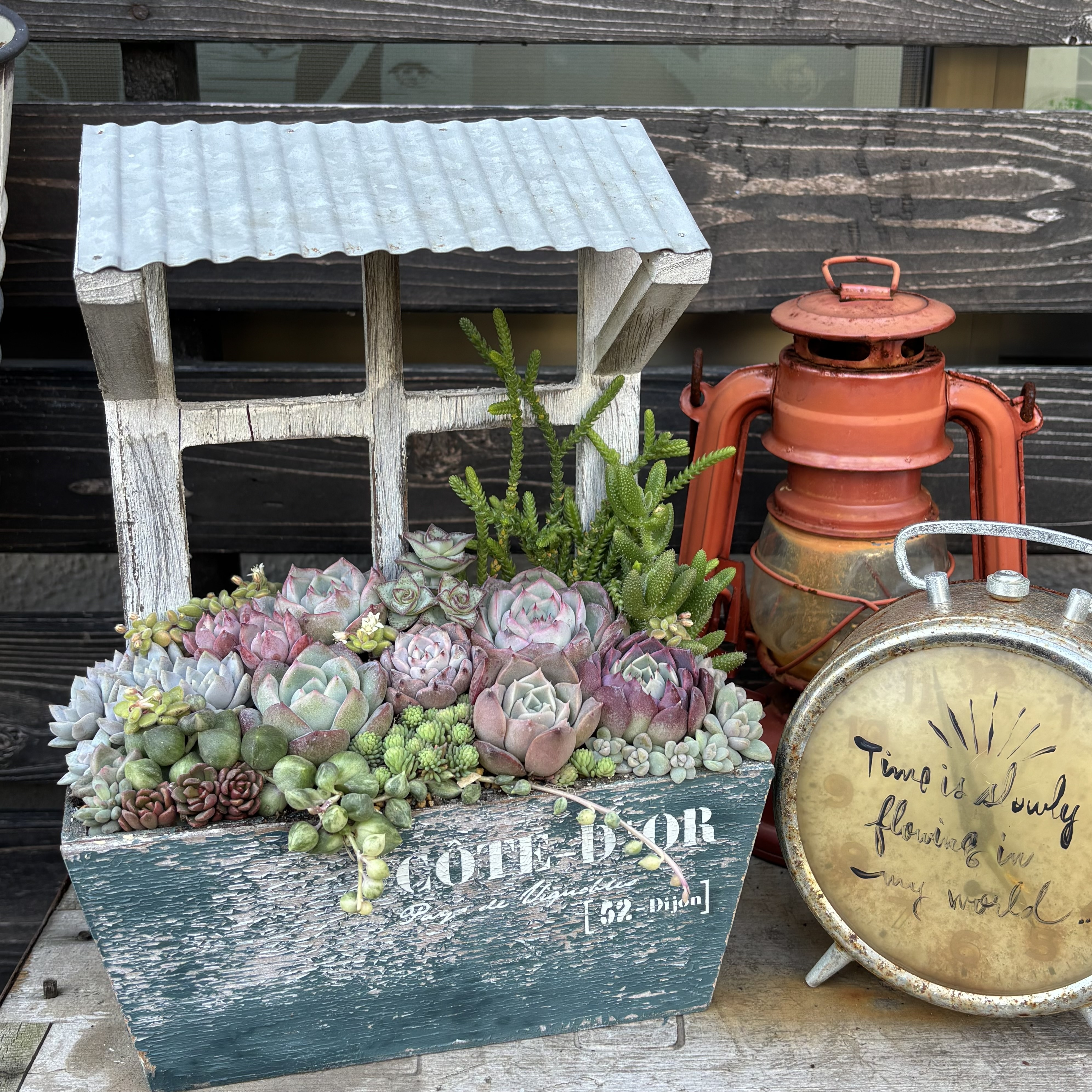 屋根付きプランターに寄せ植え | CAINZ DIY Square