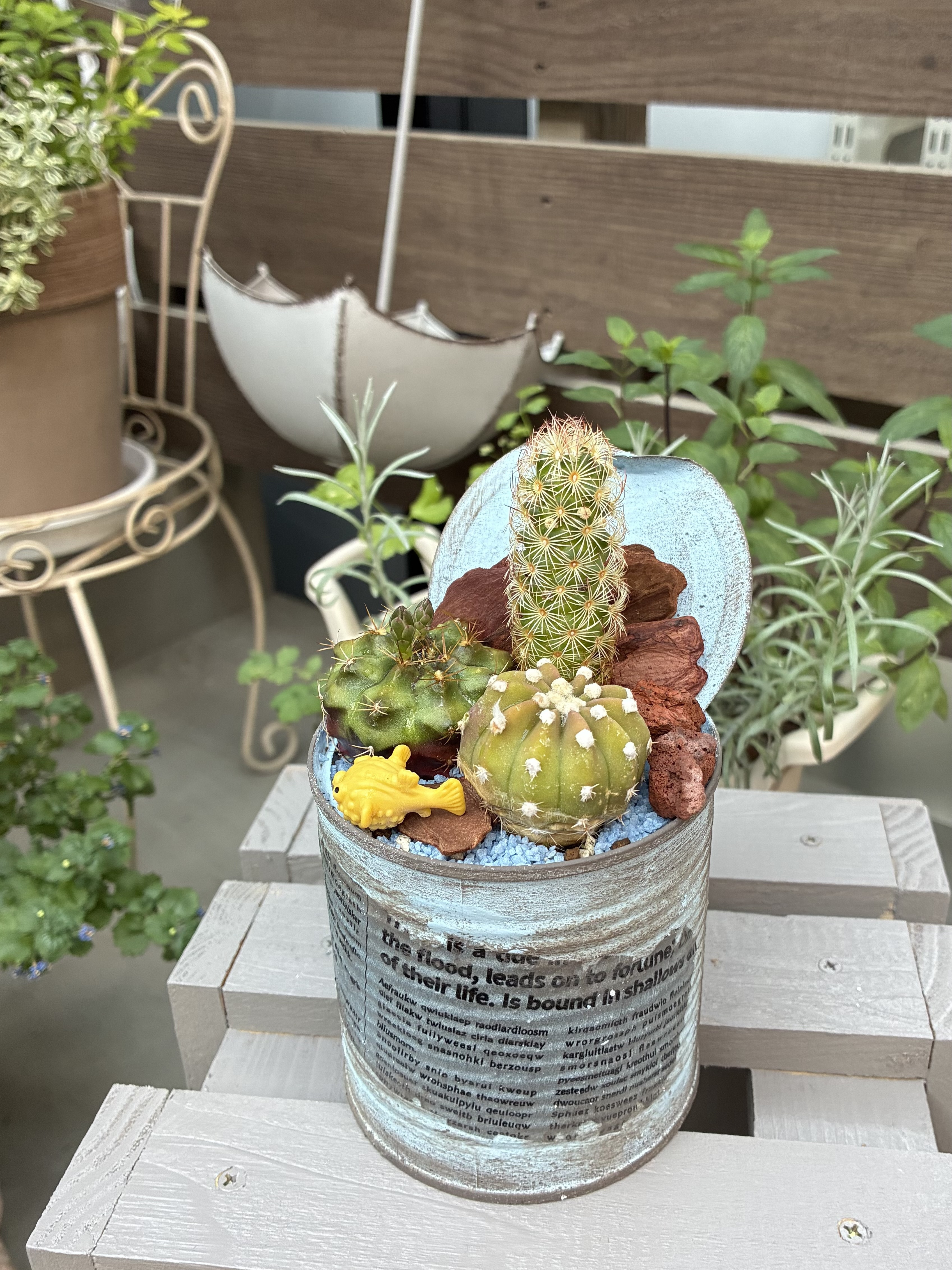 リメイク缶作りとサボテン植え | CAINZ DIY Square