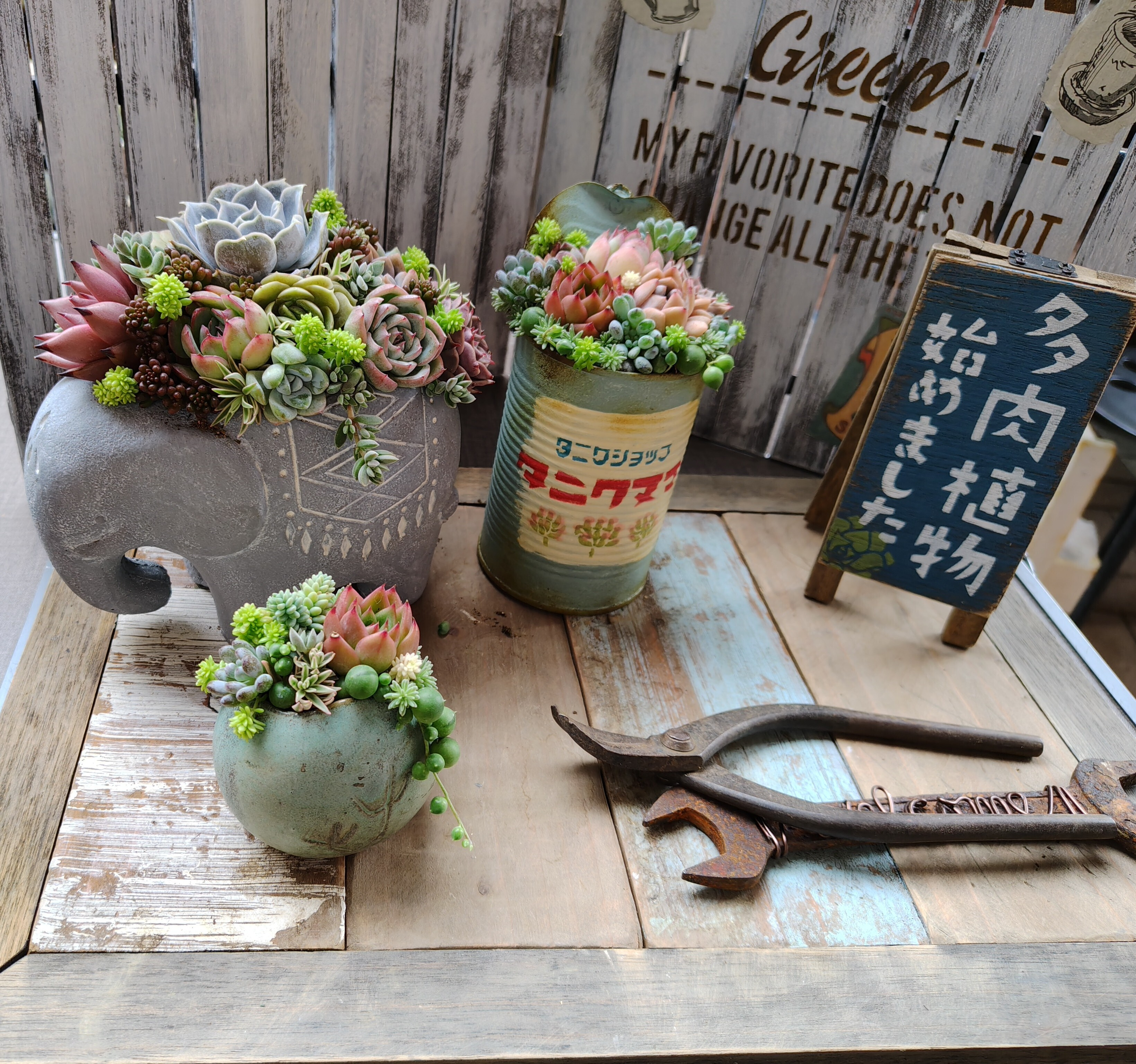 ❤️多肉植物そのまま飾れる❤️ビンテージアイアンフラワーポット❤️大きめです❤️ 多肉の寄せ植え | CAINZ DIY Square