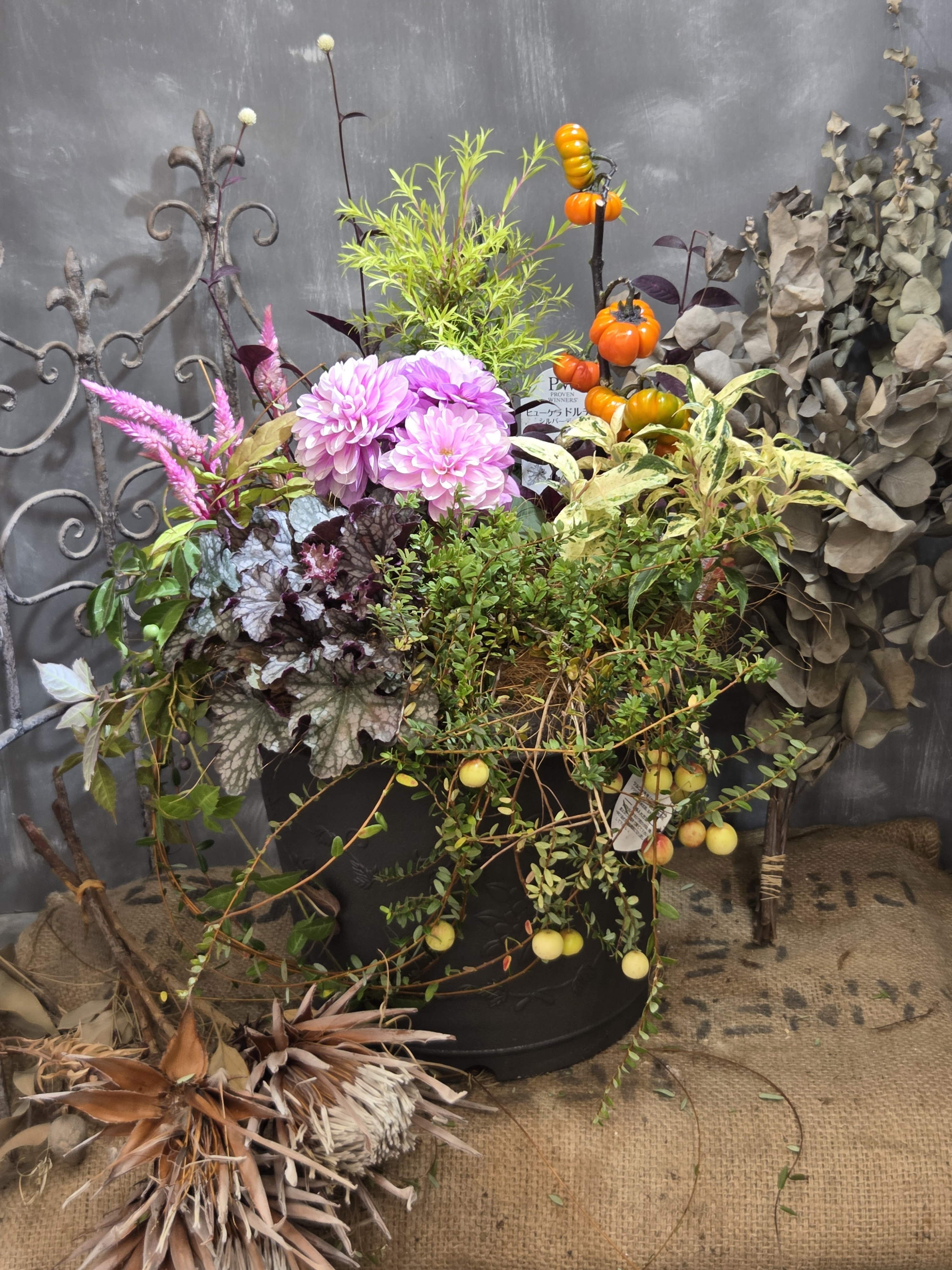 秋の寄せ植え🍂🌸🎃🔴 | CAINZ DIY Square