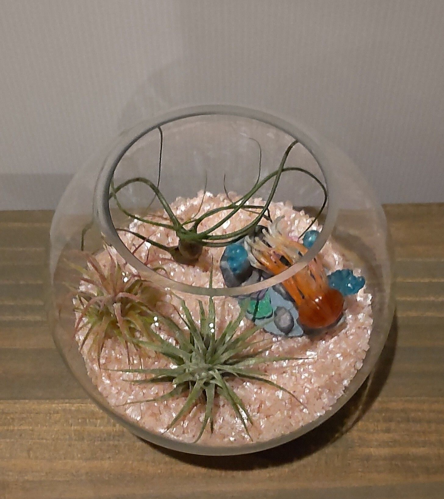 エアープランツ付きガラスハンギングテラリウム Amazon.co.jp: ハンギング テラリウム ガラス花瓶 大容量 エアプランツ