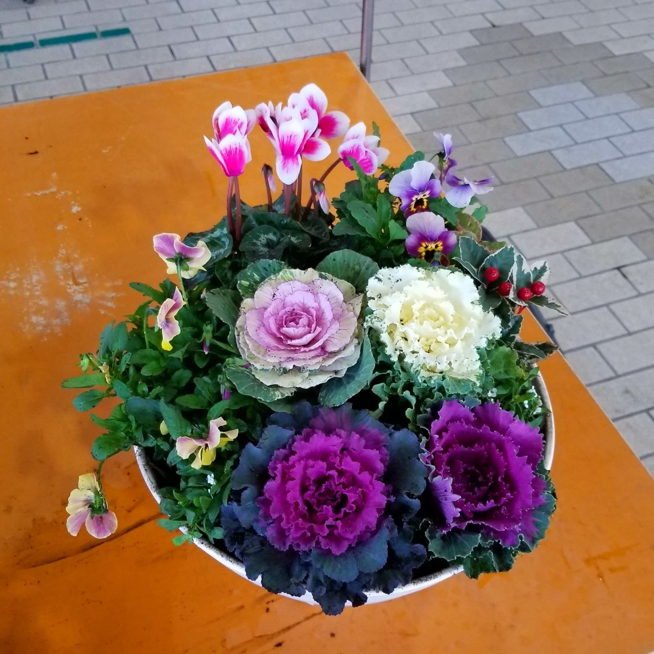 o1080081015515275078.png