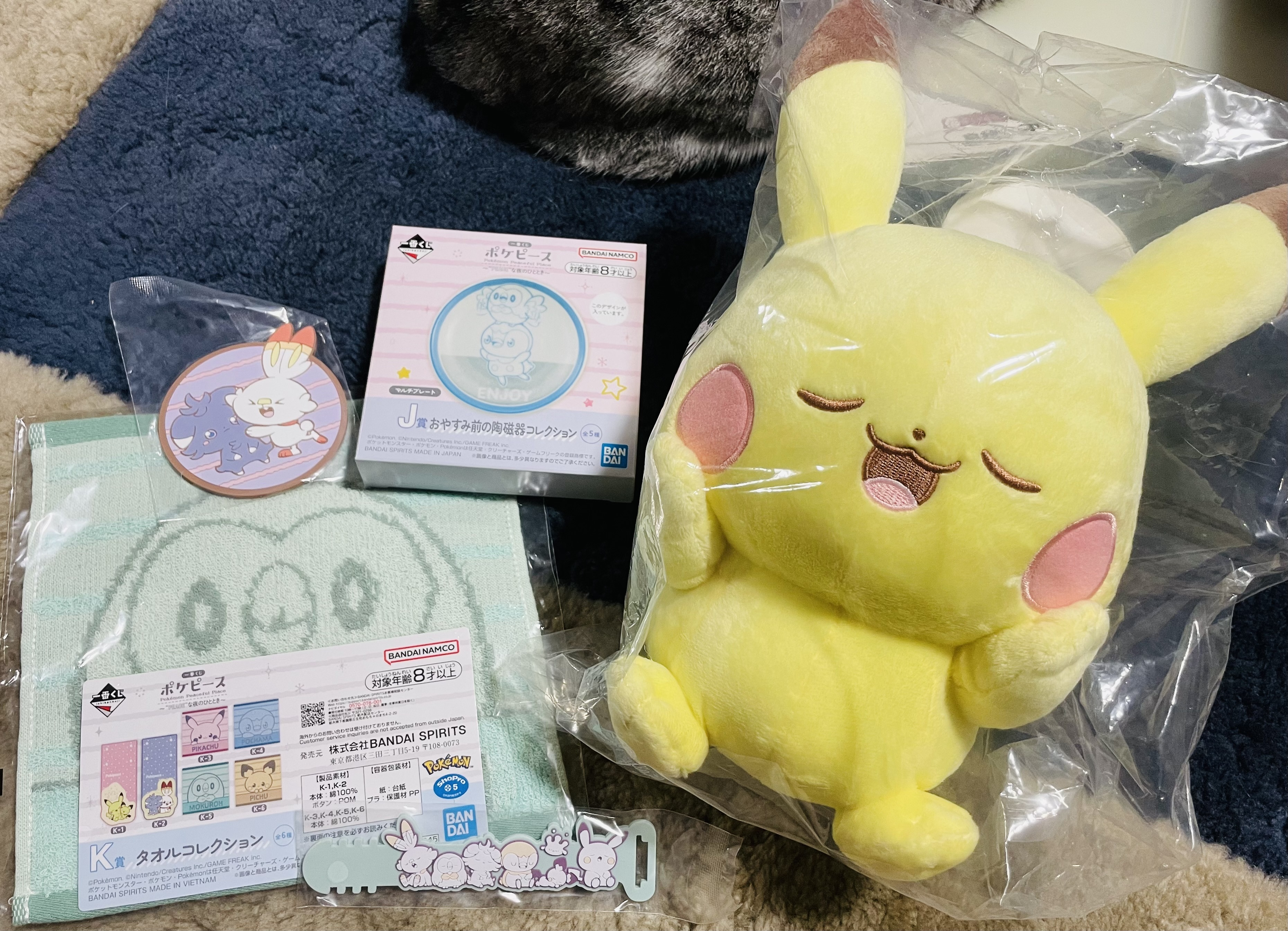 ⭐︎ポケピース〜PEACEな夜のひととき〜⭐︎ | 一番くじ公式