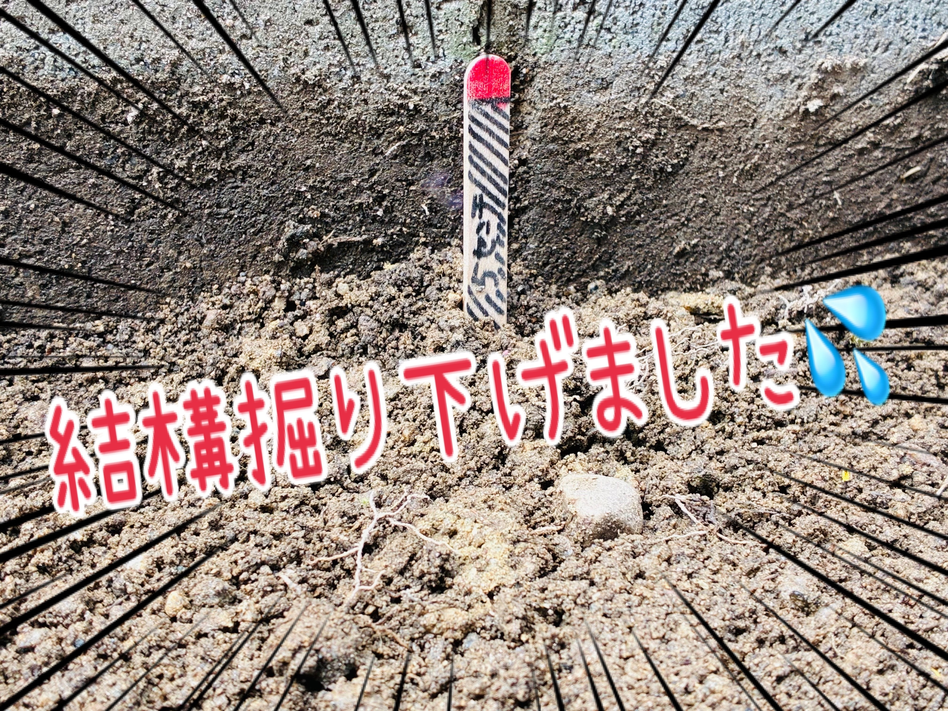 撒くだけで防草できる人工砂モニター】作業その① | CAINZ DIY Square