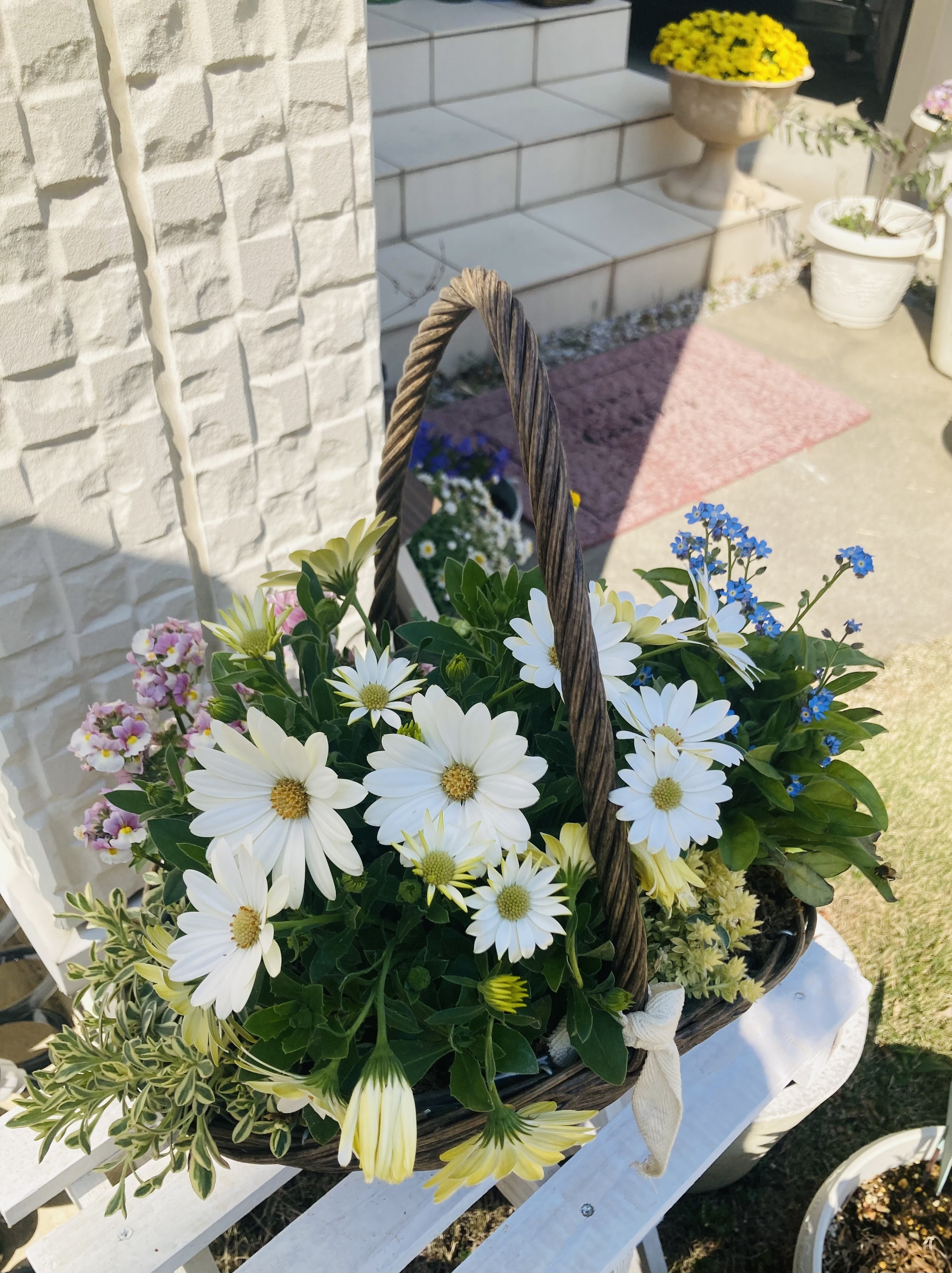 春風のバスケット寄せ植え🌼 | CAINZ DIY Square