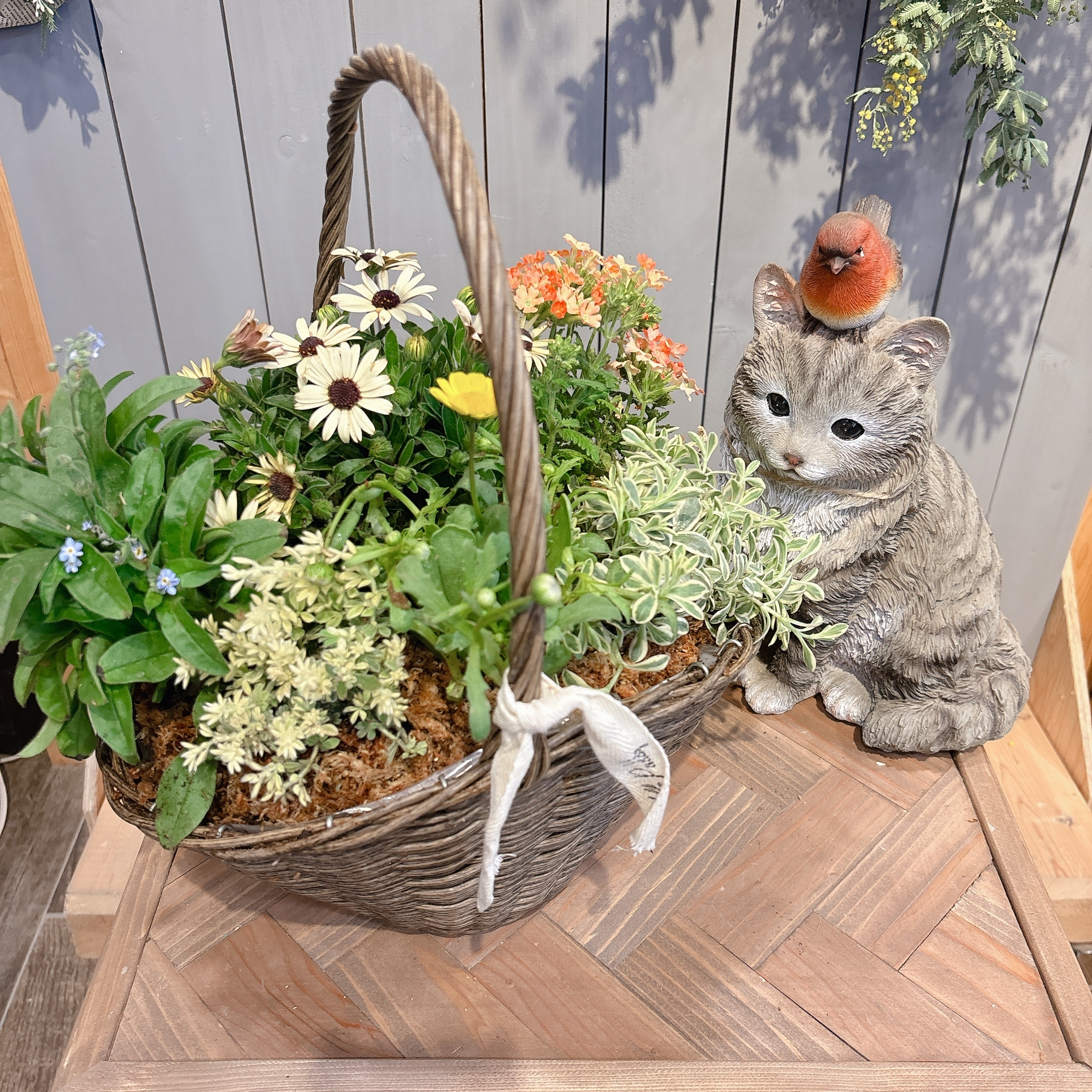 春風のバスケット寄せ植え | CAINZ DIY Square
