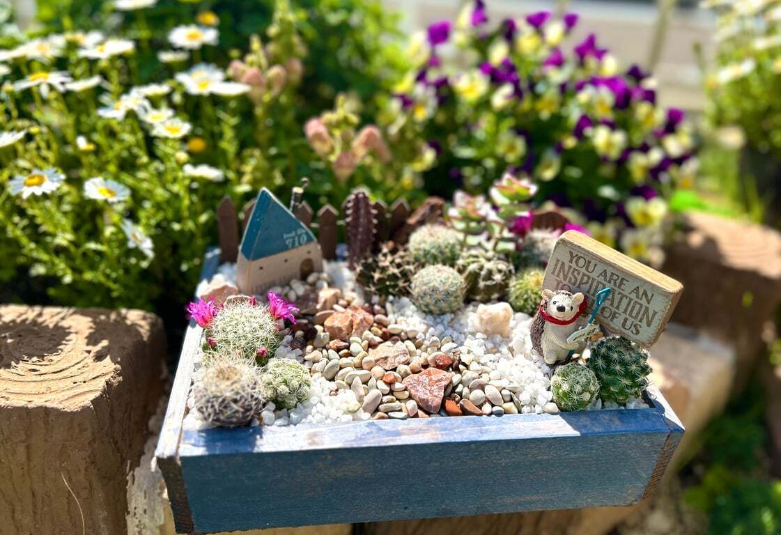 ◇✧箱庭✧◇ページ サボテン🌵の箱庭作りました☺️ | CAINZ DIY Square