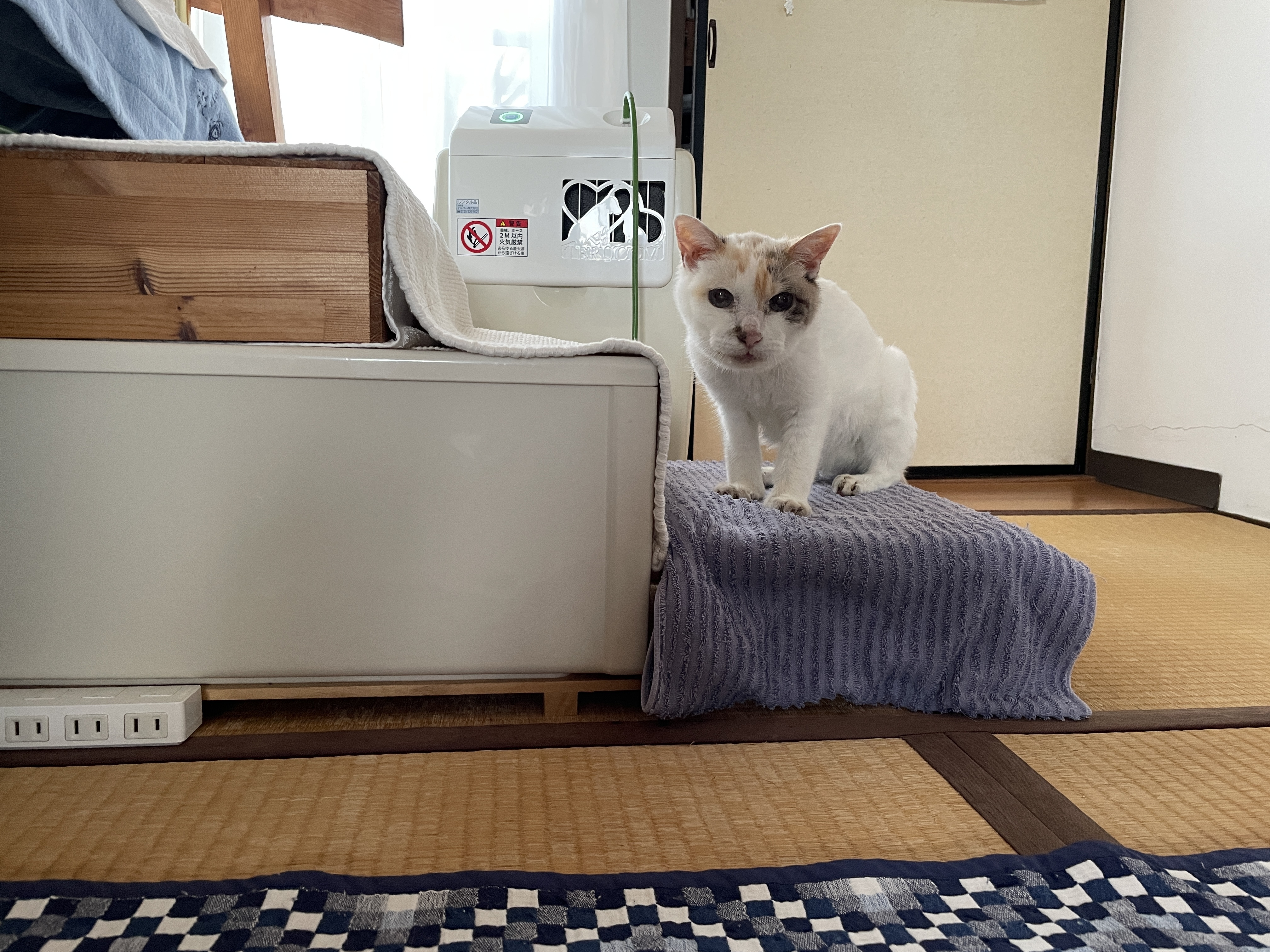 DIYネコ脚(4本)①下地用 ♪🐈脚の不自由なうちの子に手作りステップ🐈♪ | CAINZ DIY Square