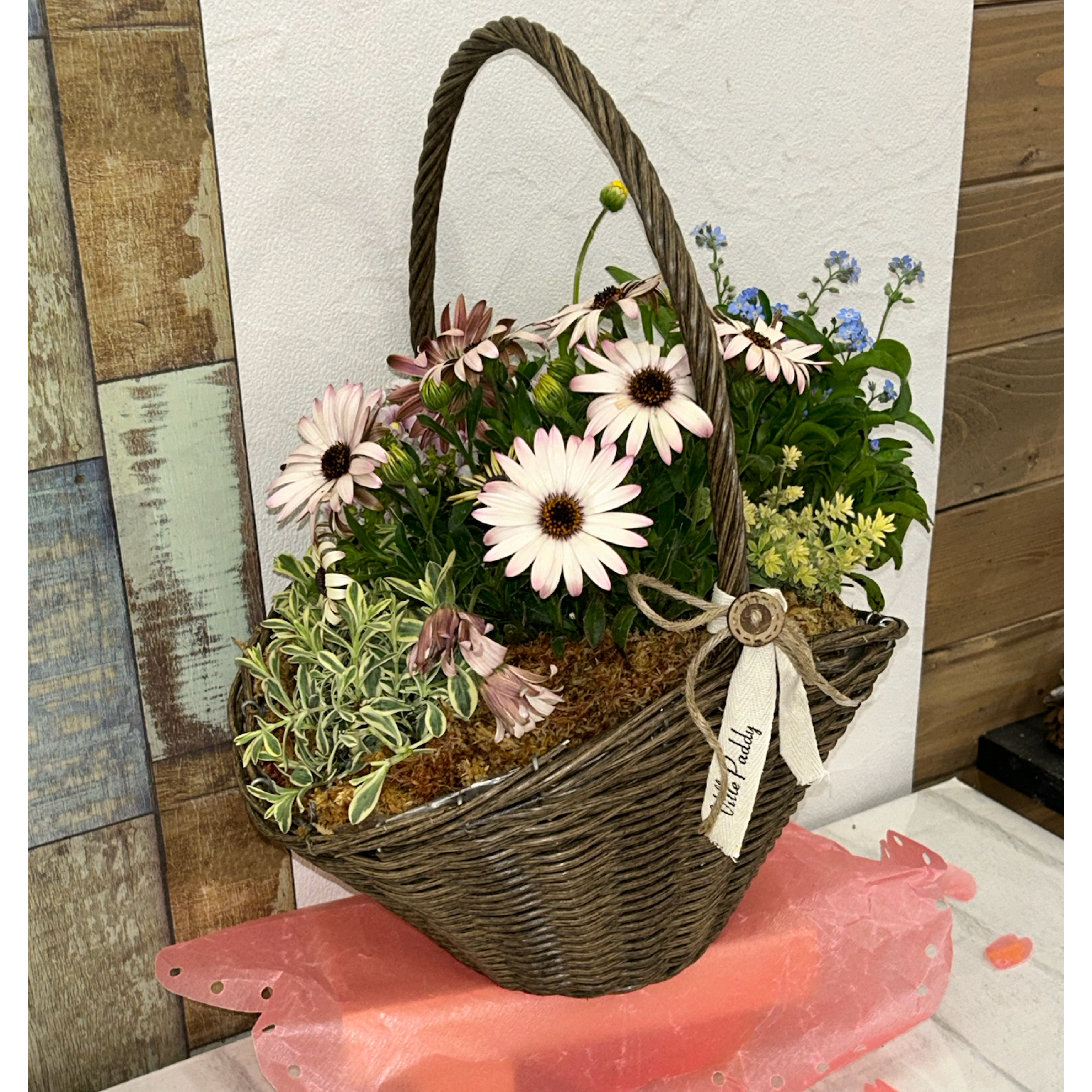 春風のバスケット寄せ植え♪ | CAINZ DIY Square