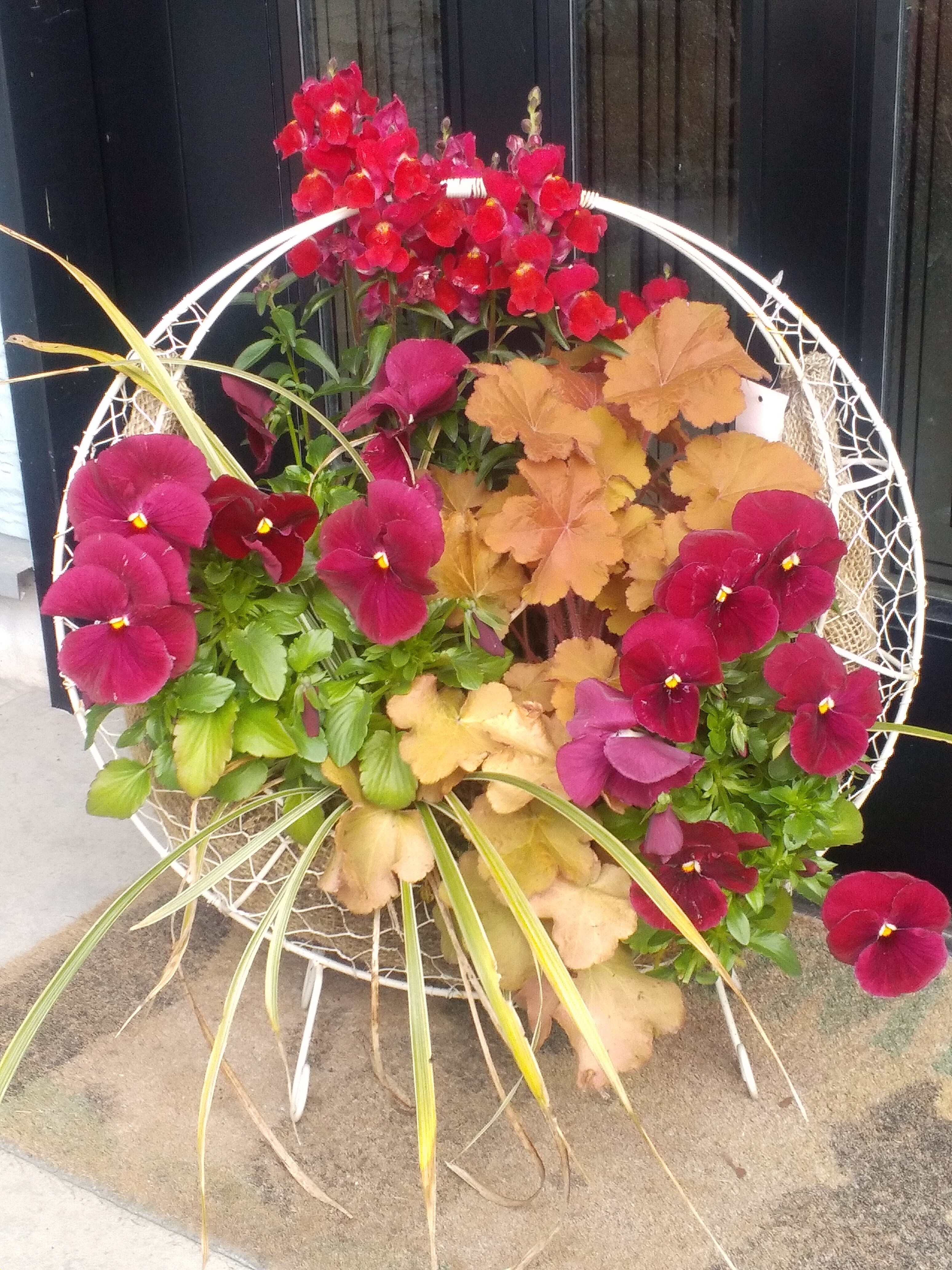 高級花店の花の寄せ植えその後 | CAINZ DIY Square