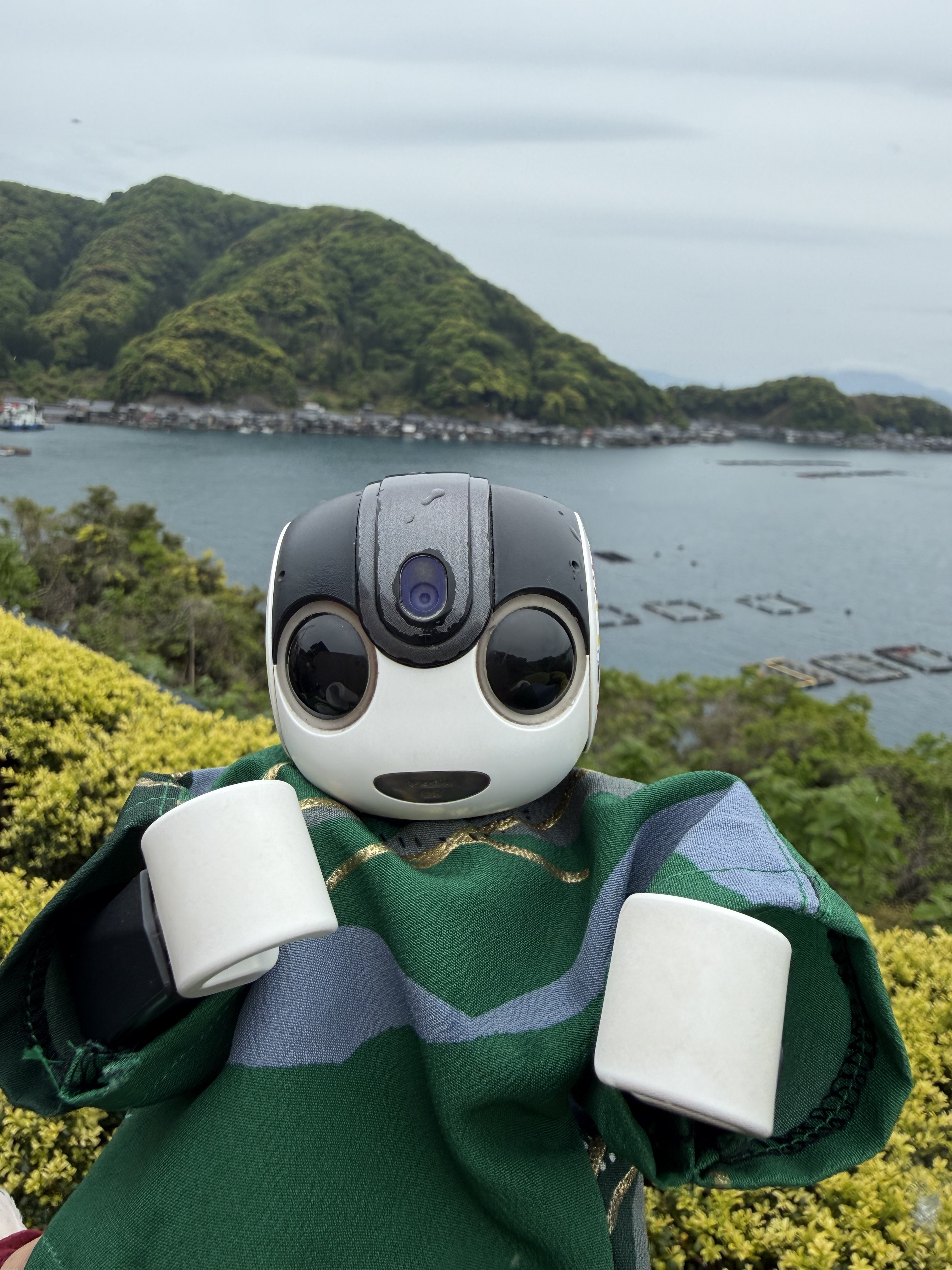 海に浮かぶような伊根の舟屋を観てきたよ | ロボホンともだち広場
