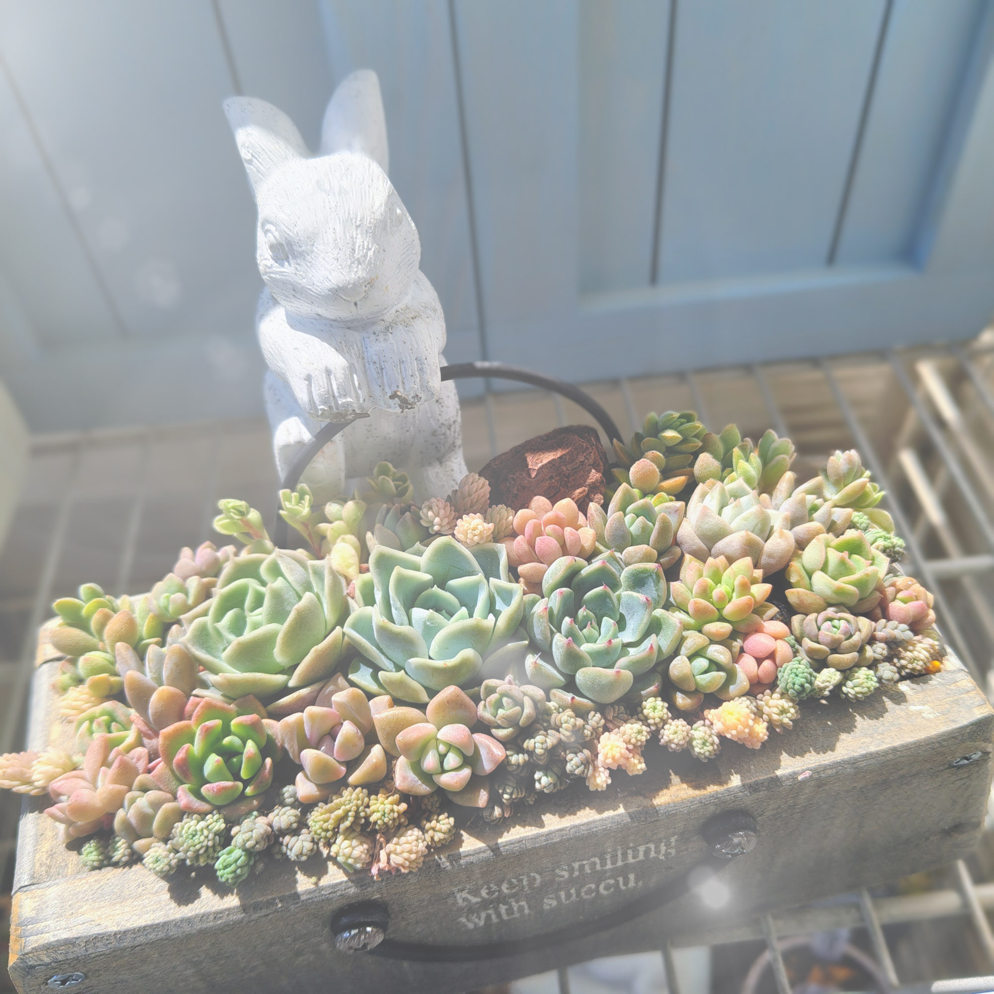 スリムバッグ型の鉢に寄せ植え👜 | CAINZ DIY Square