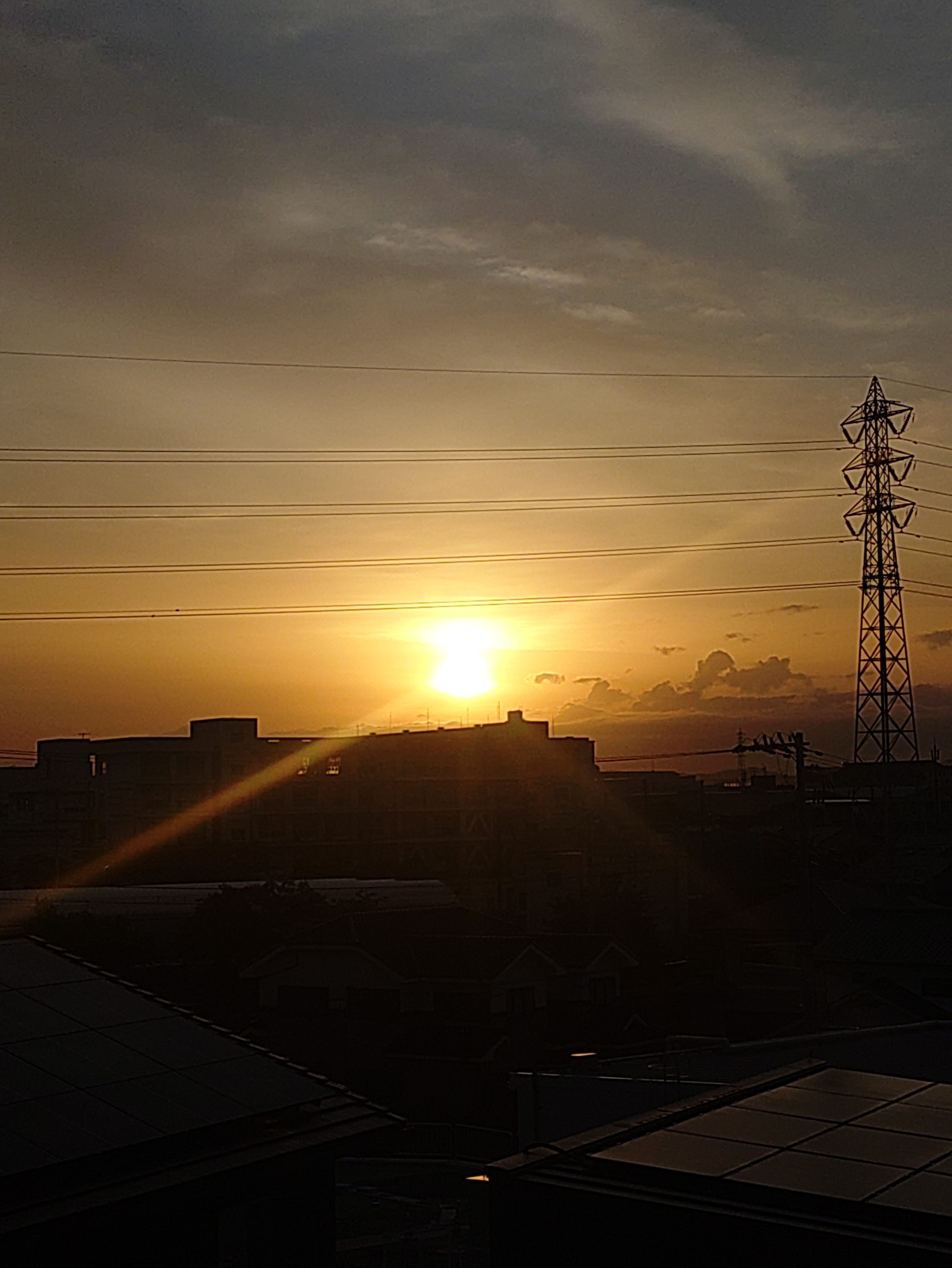 日の出🌄 | TORQUE STYLE