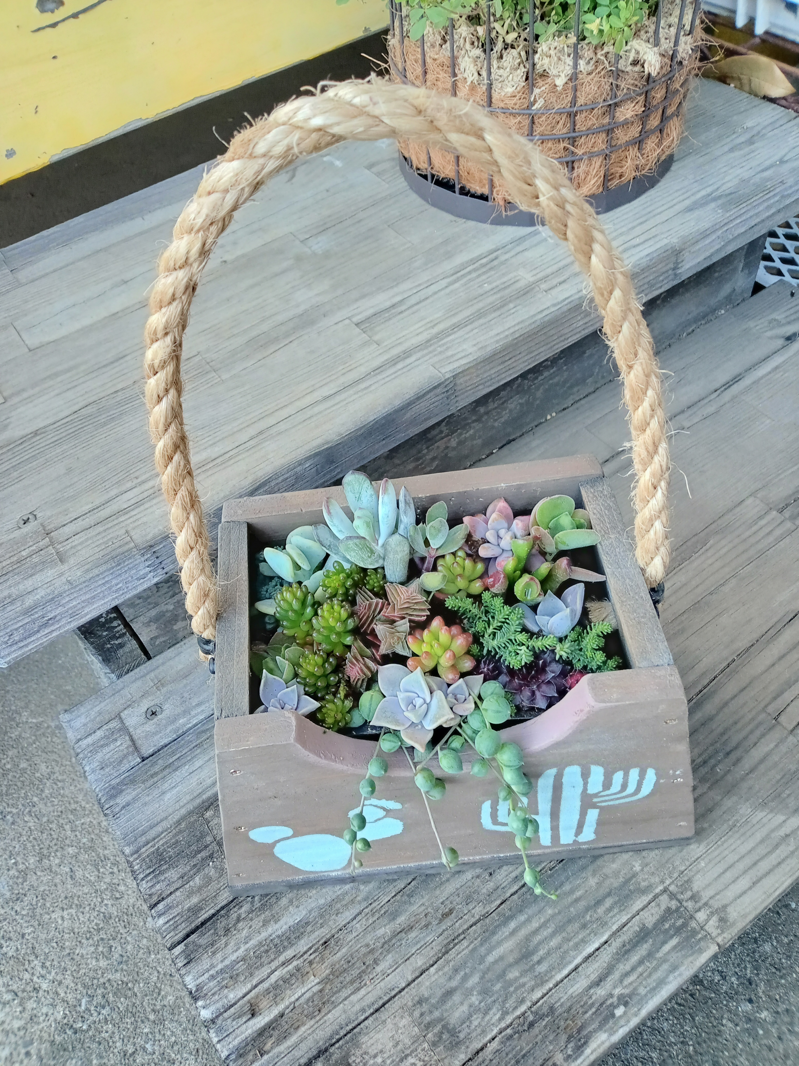 多肉の寄せ植え | CAINZ DIY Square