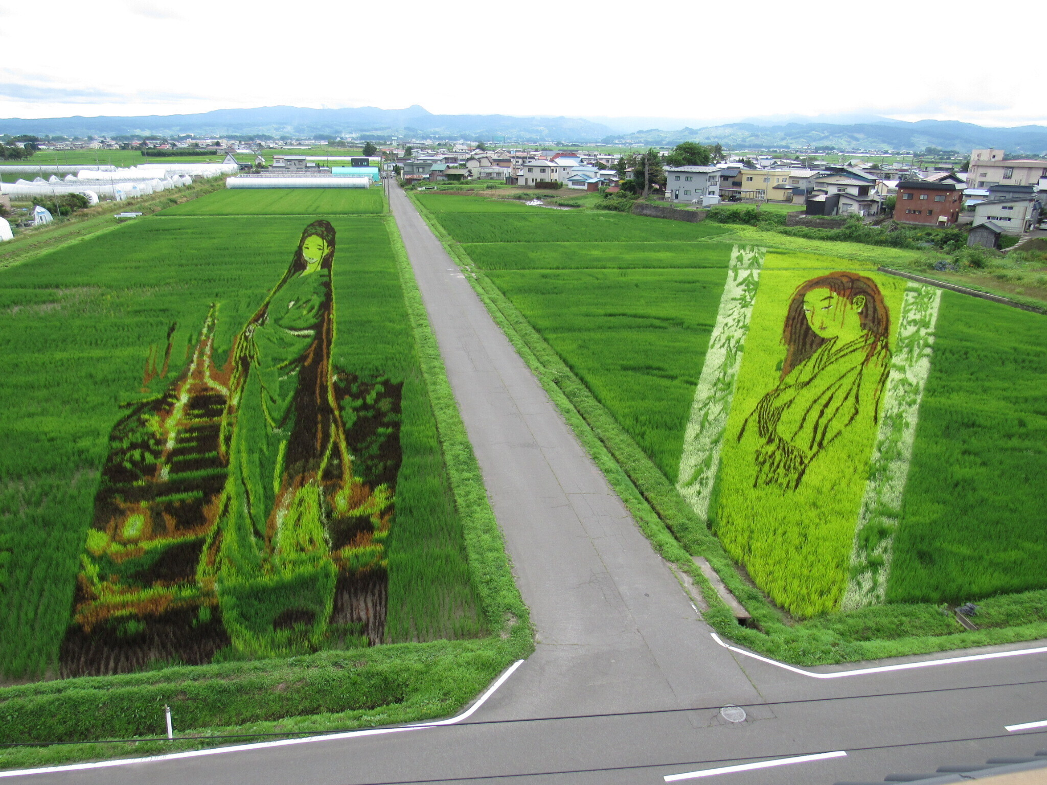 田んぼアート | TORQUE STYLE