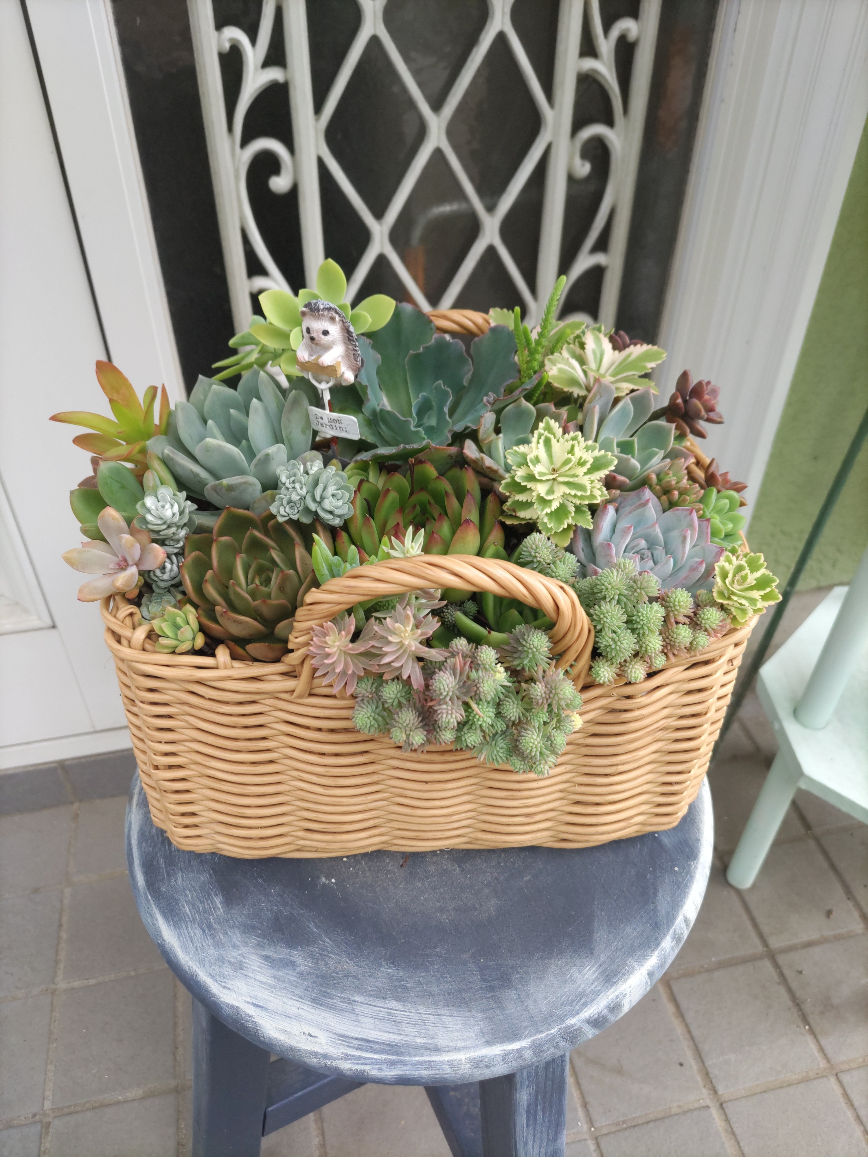 寄せ植え💚🧺✨ | CAINZ DIY Square
