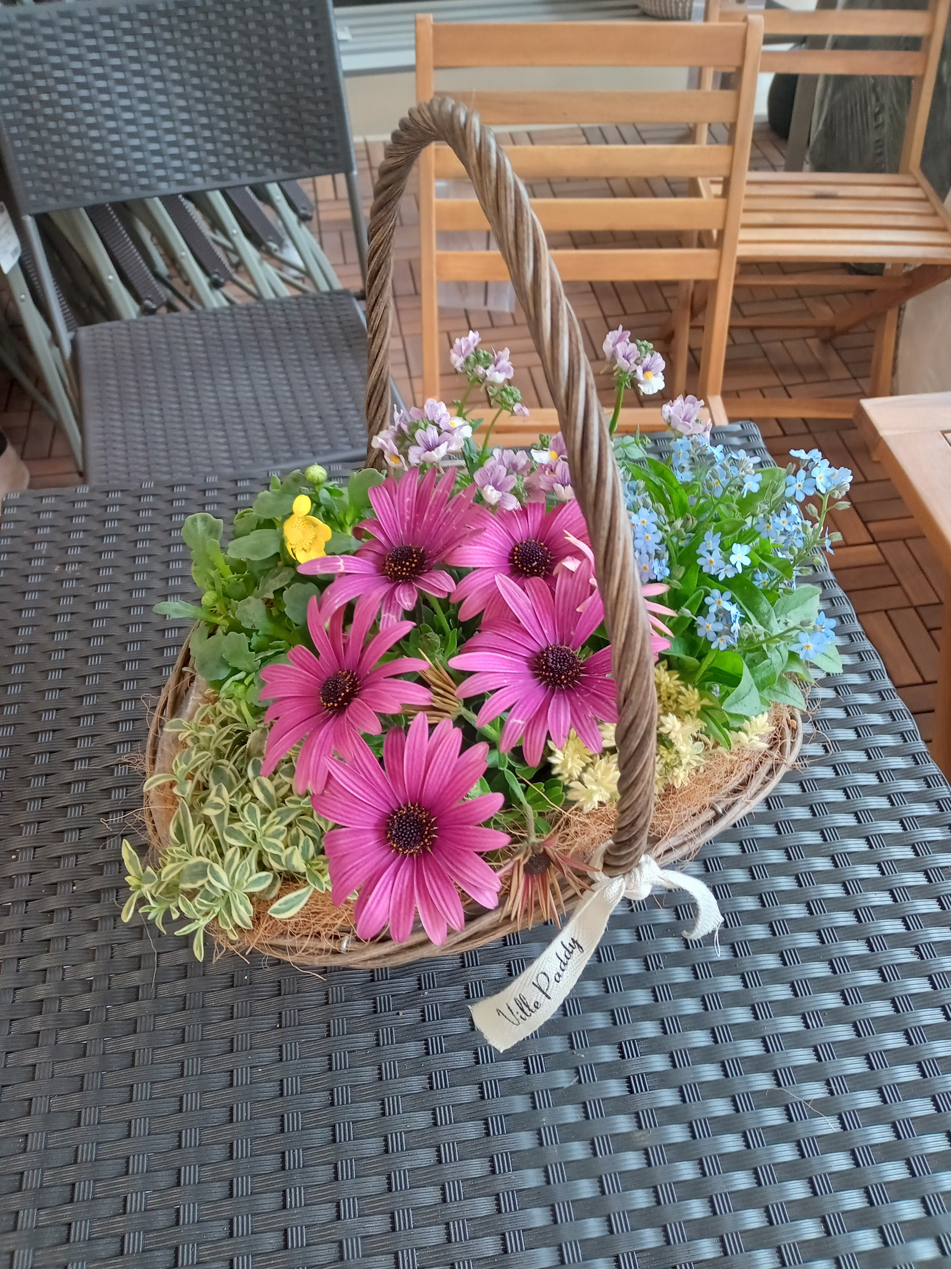 春の寄せ植え WS | CAINZ DIY Square